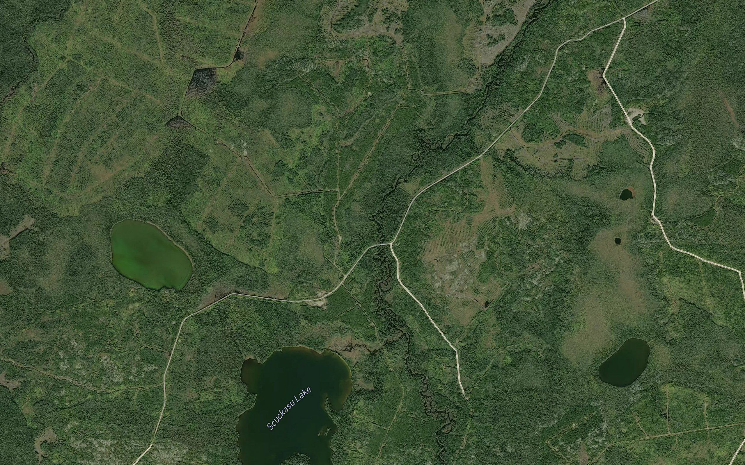 Scuckasu Creek