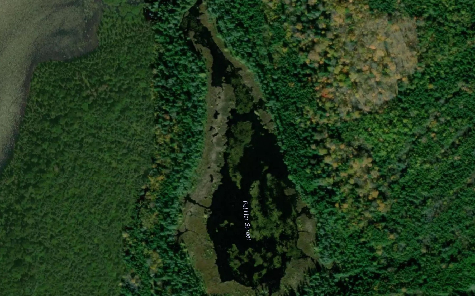 Satellite map of the Petit lac Surget
