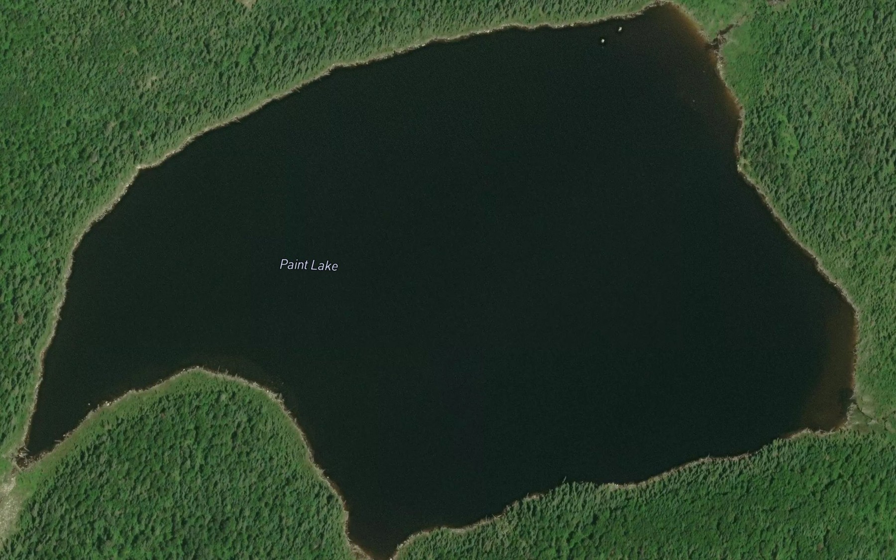 Satellite map of the Paint Lake