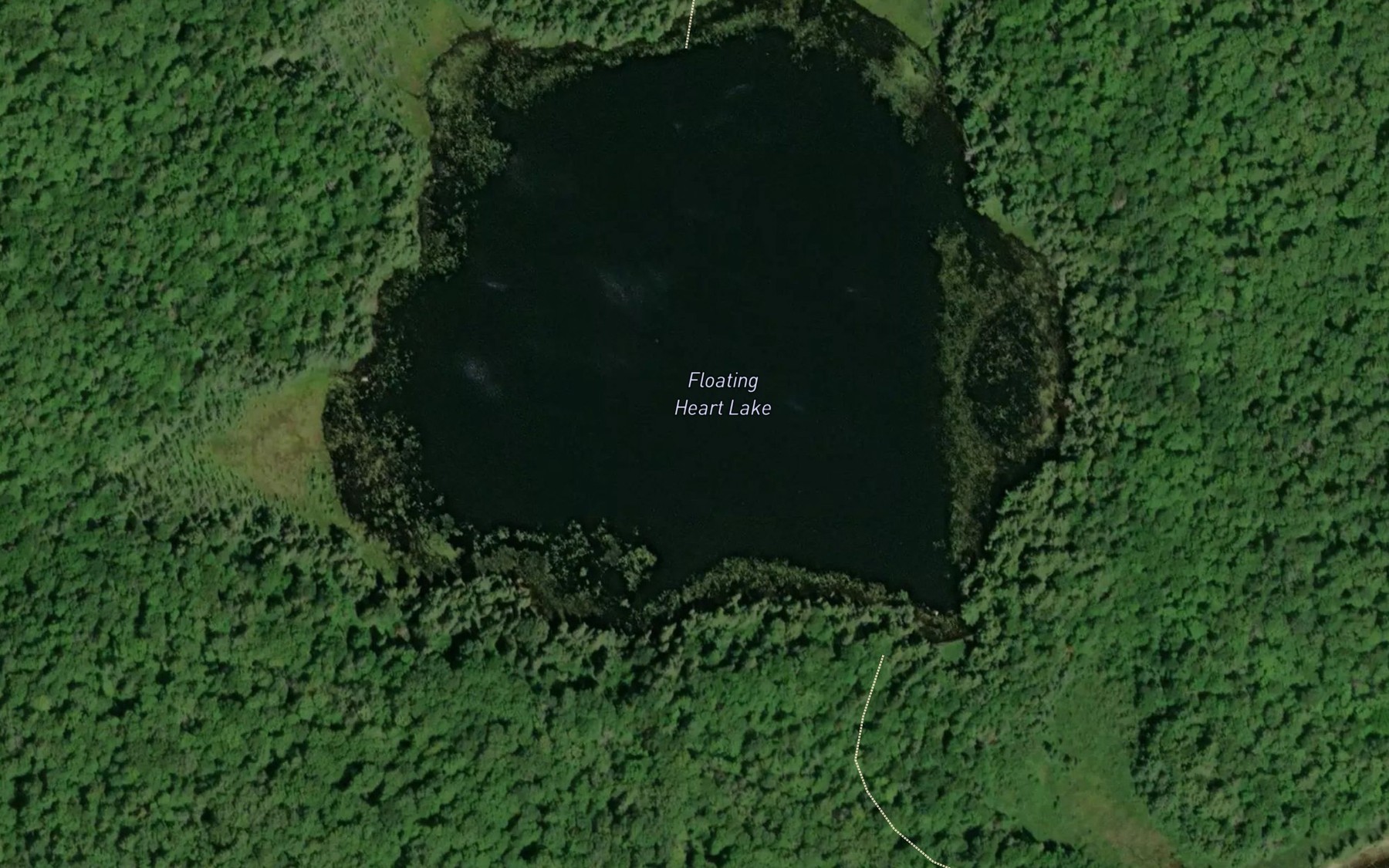 Satellite map of the Floating Heart Lake