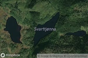 Svarttjorna