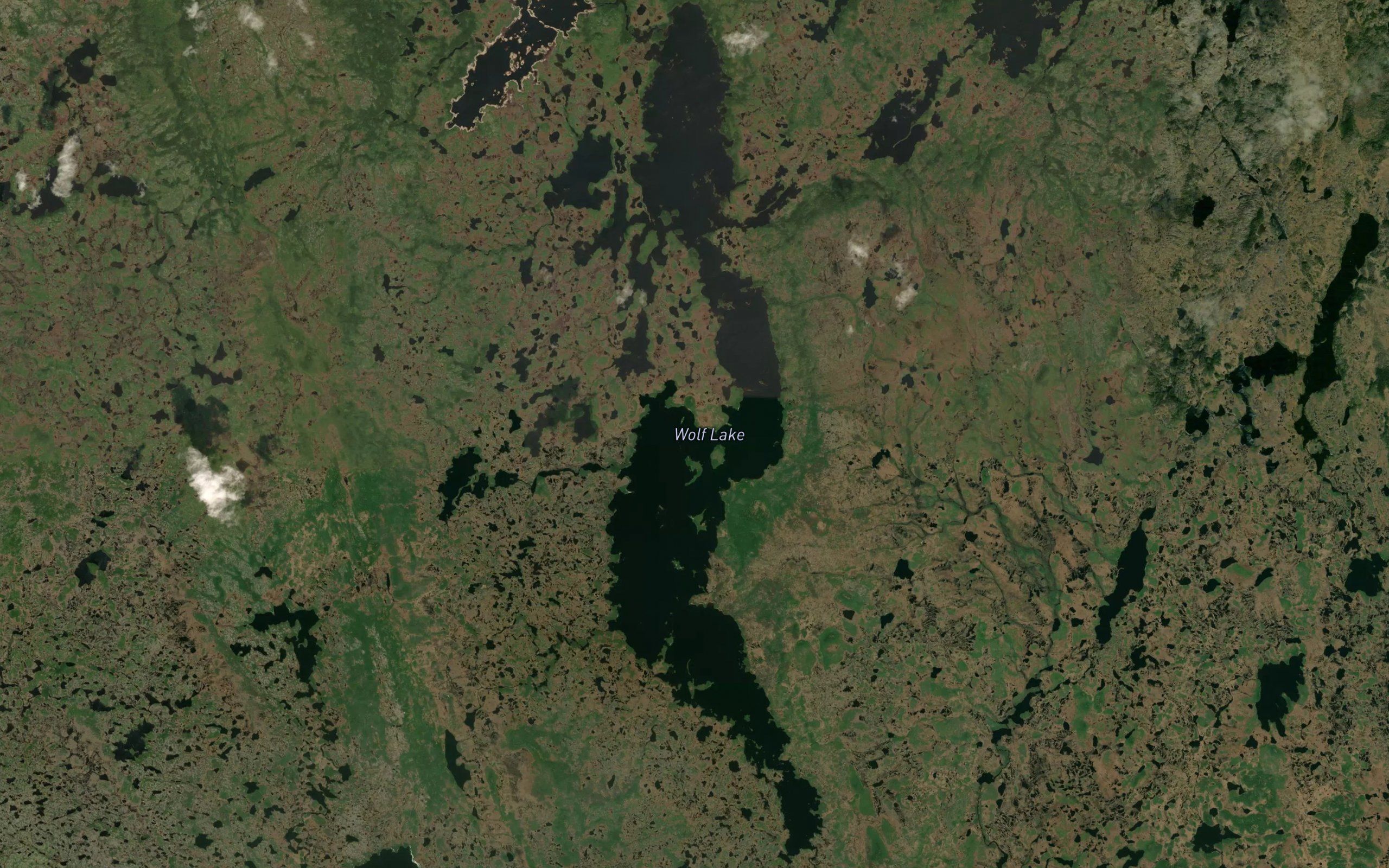 Wolf Lake