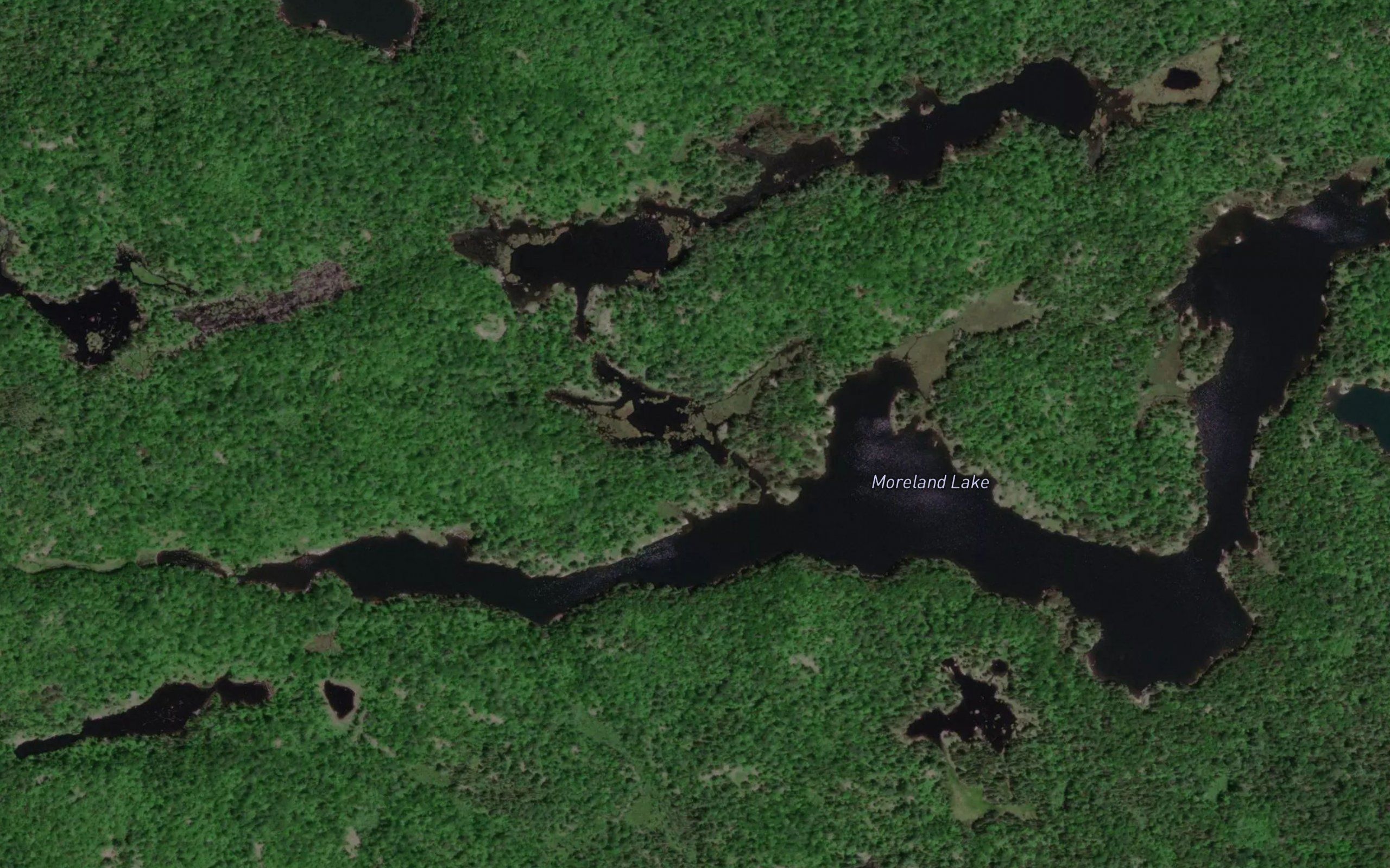 Moreland Lake