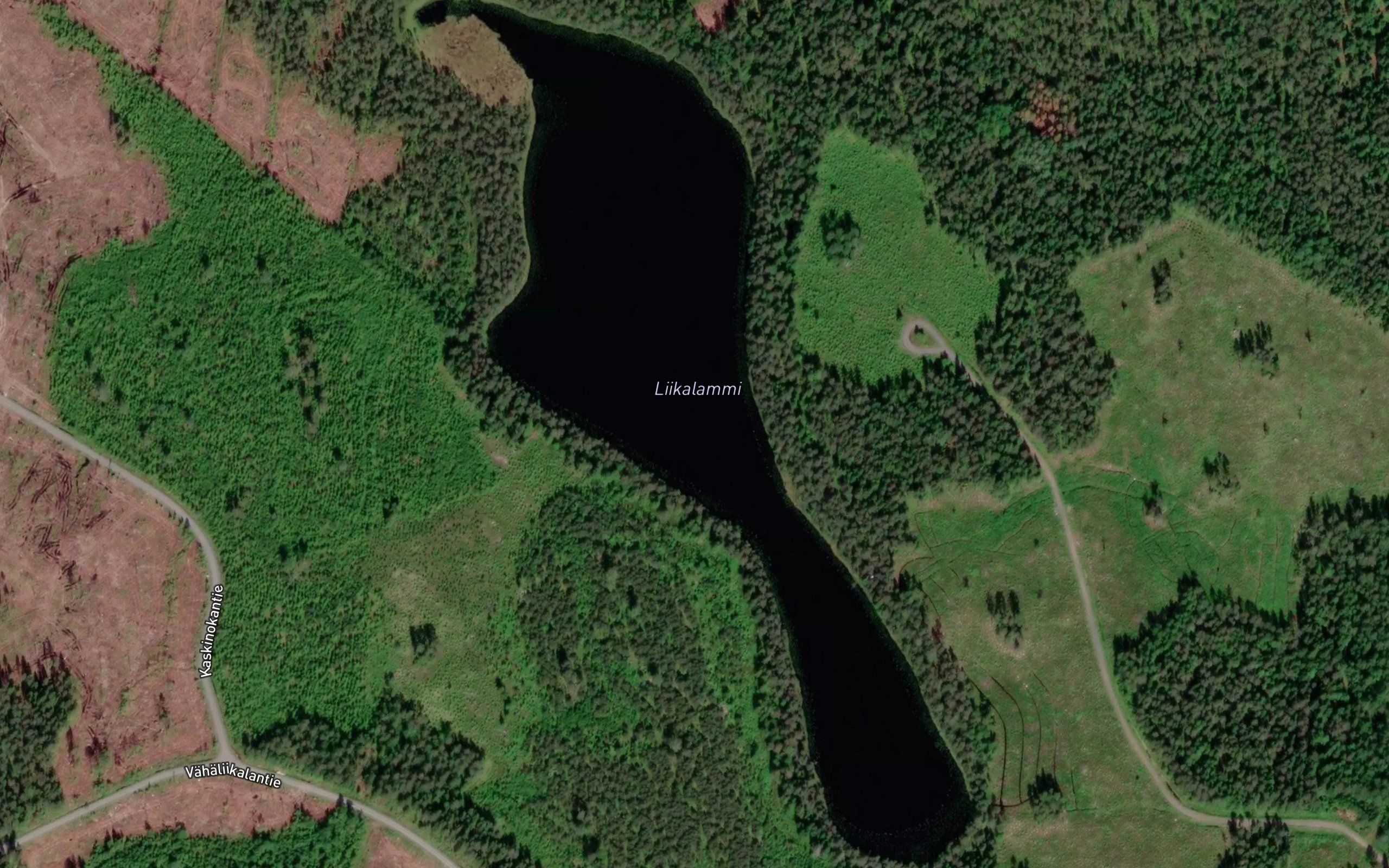 Liikalammi