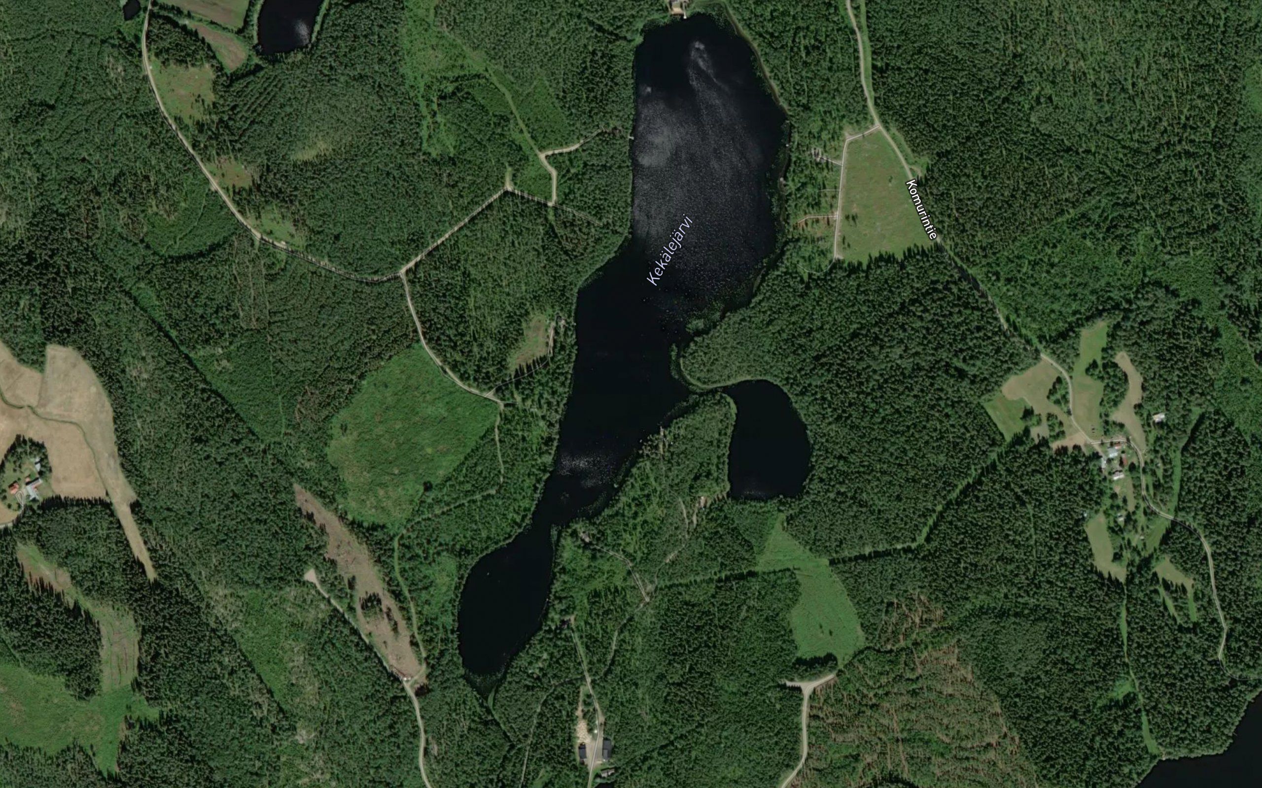 Kekalejarvi