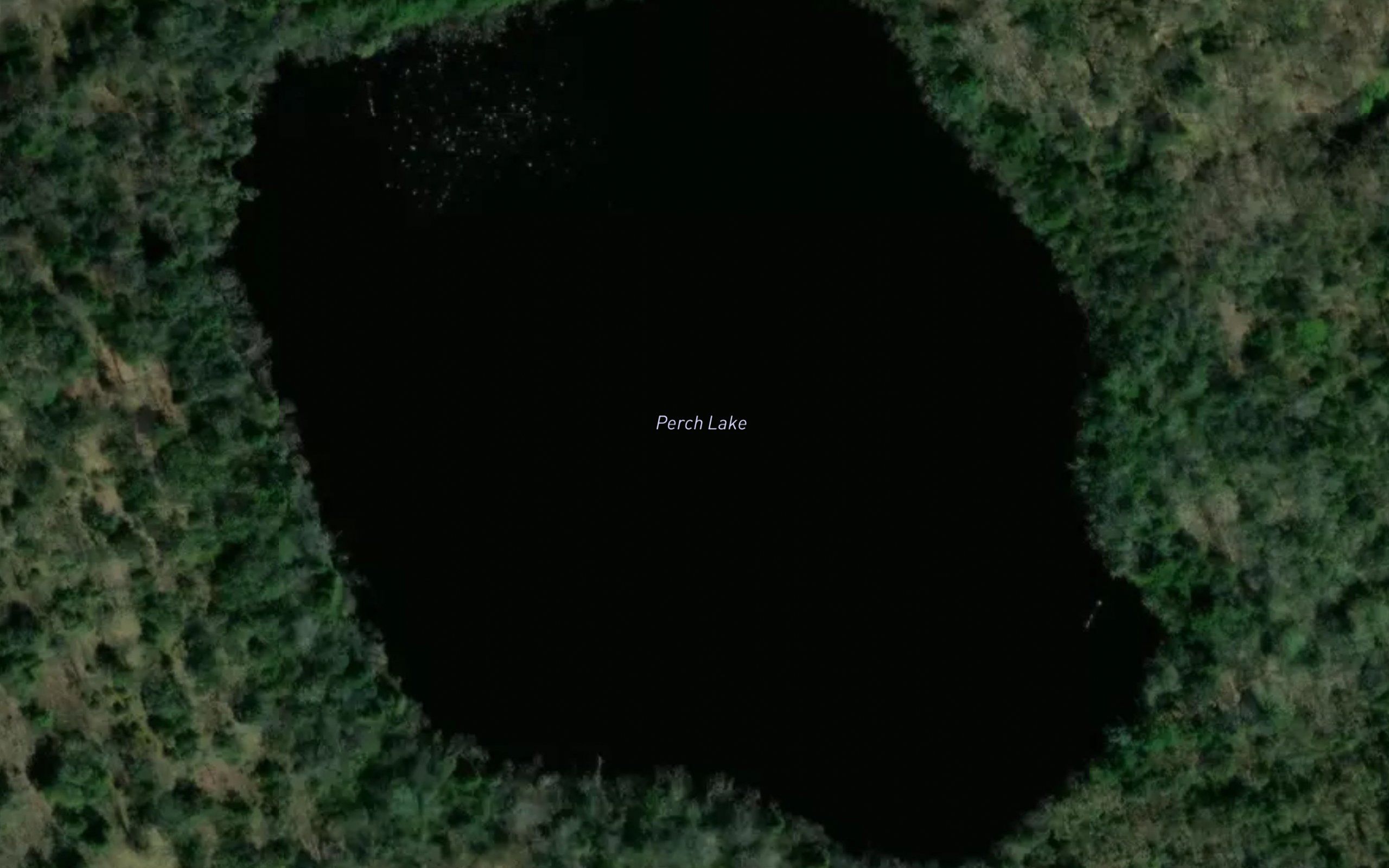 Perch Lake