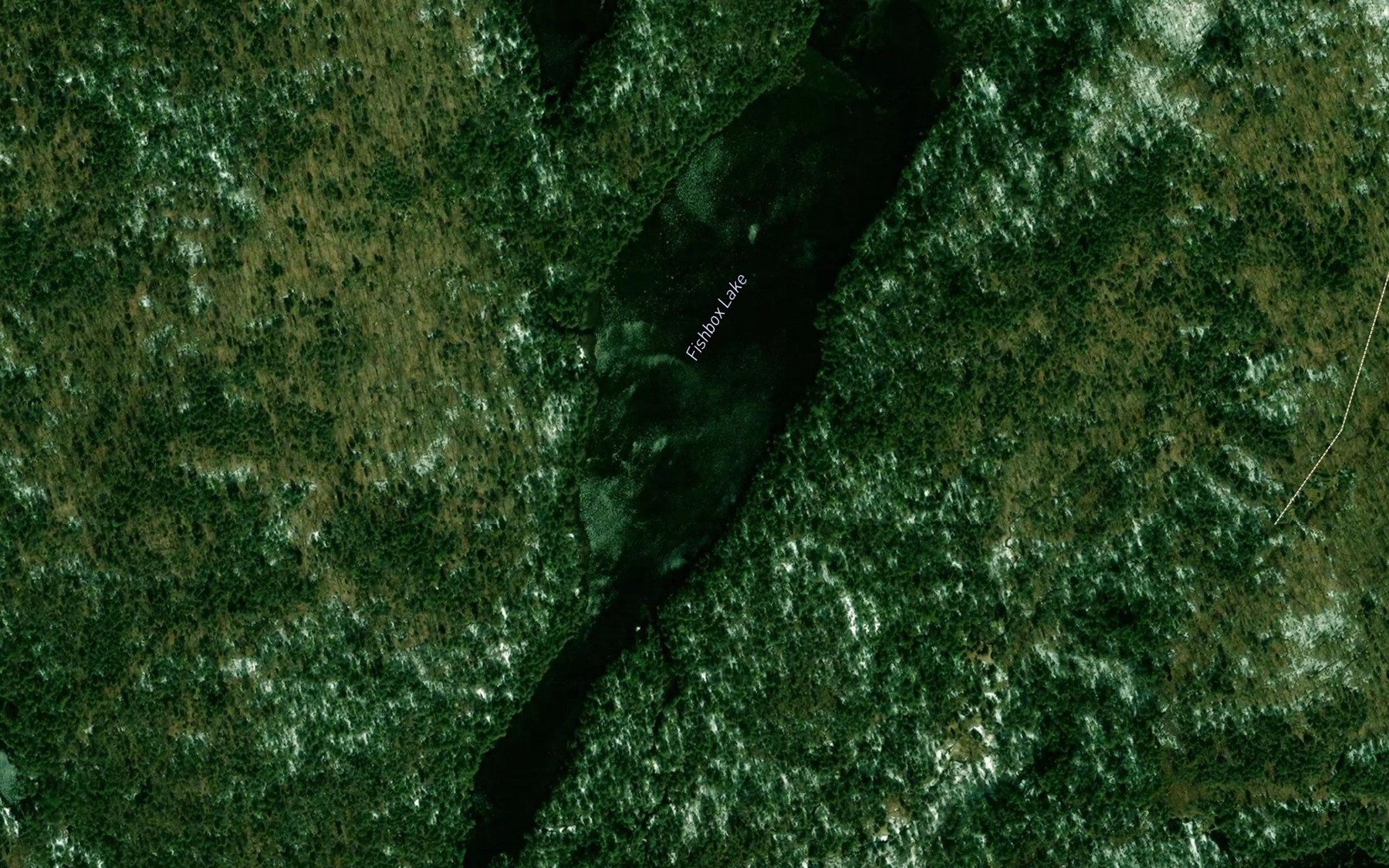 Satellite map of the Fishbox Lake