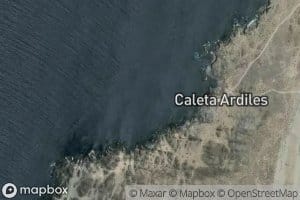 Caleta Ardiles