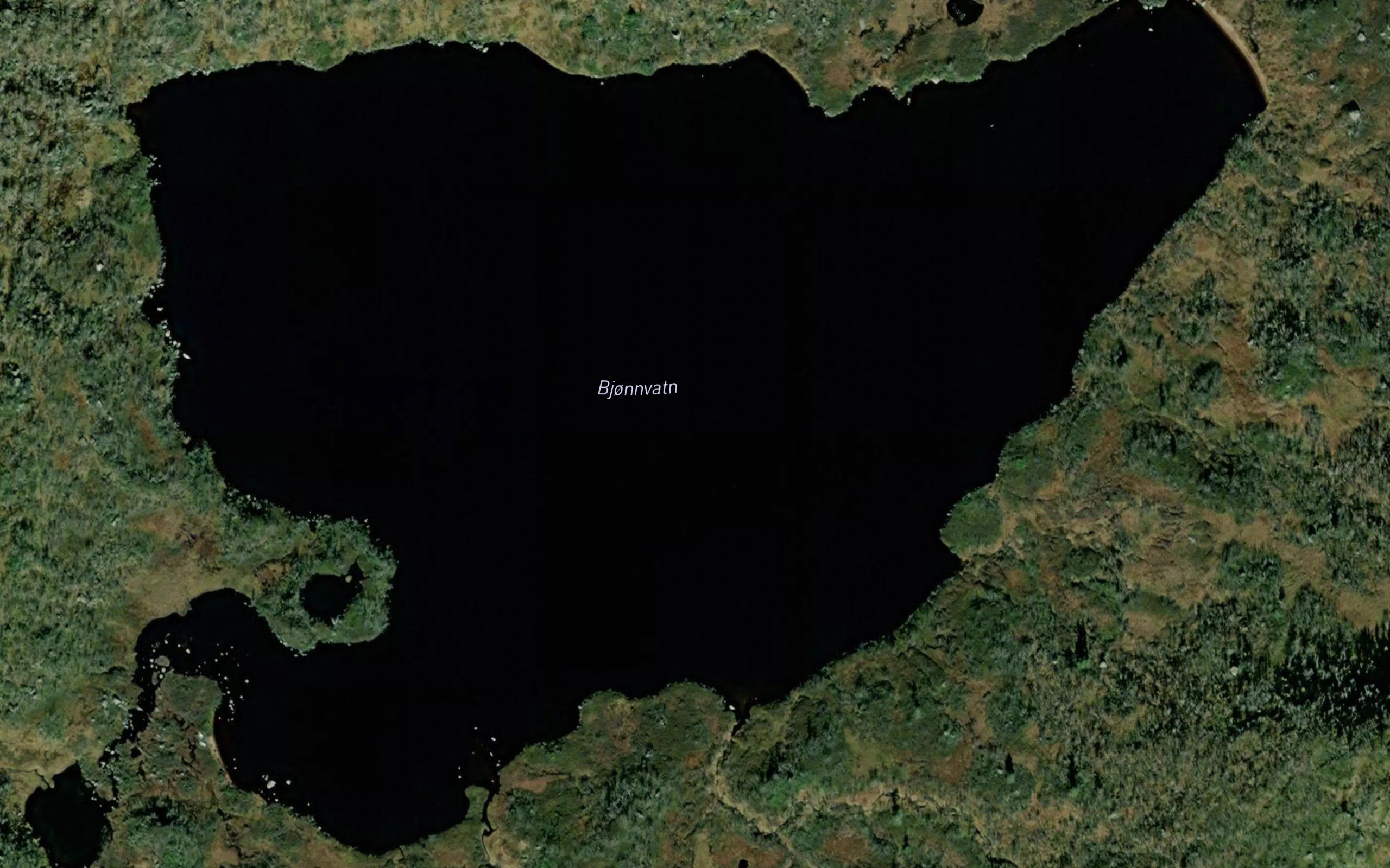 Bjonnvatn