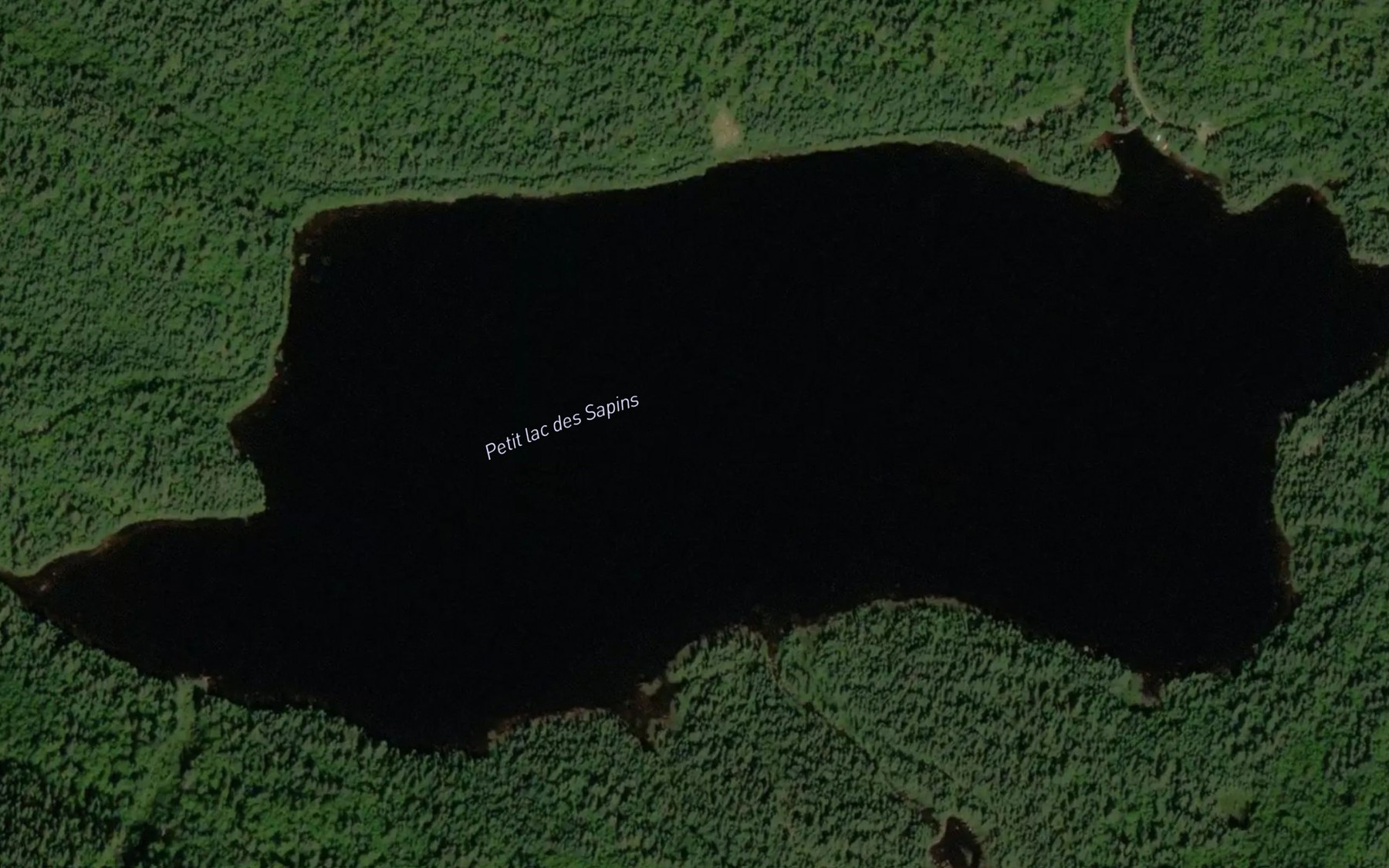Satellite map of the Petit lac des Sapins