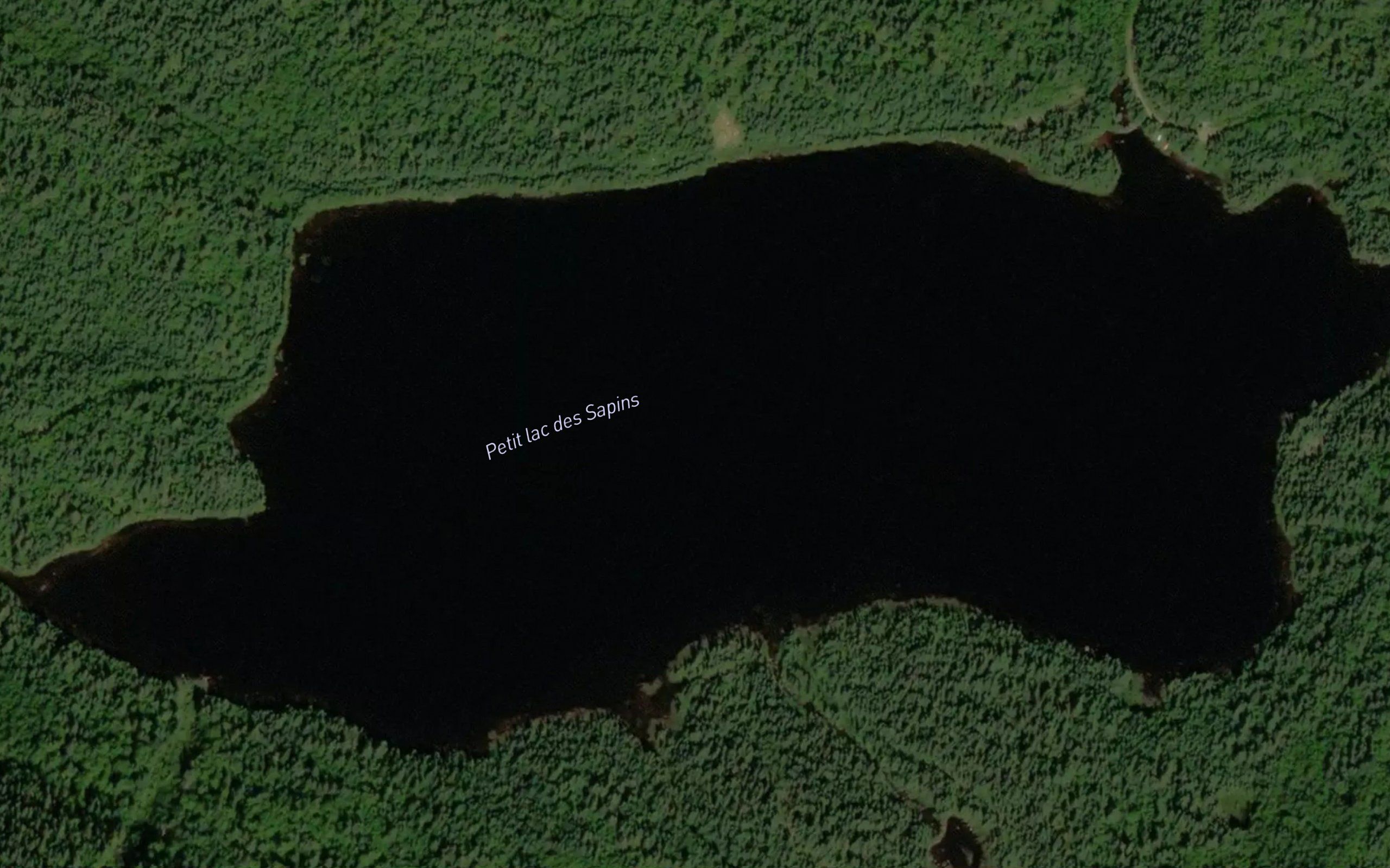 Petit lac des Sapins