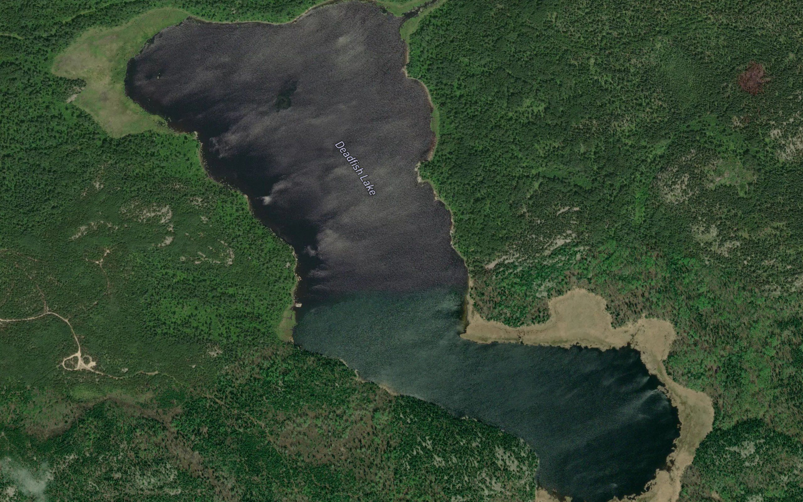 Deadfish Lake