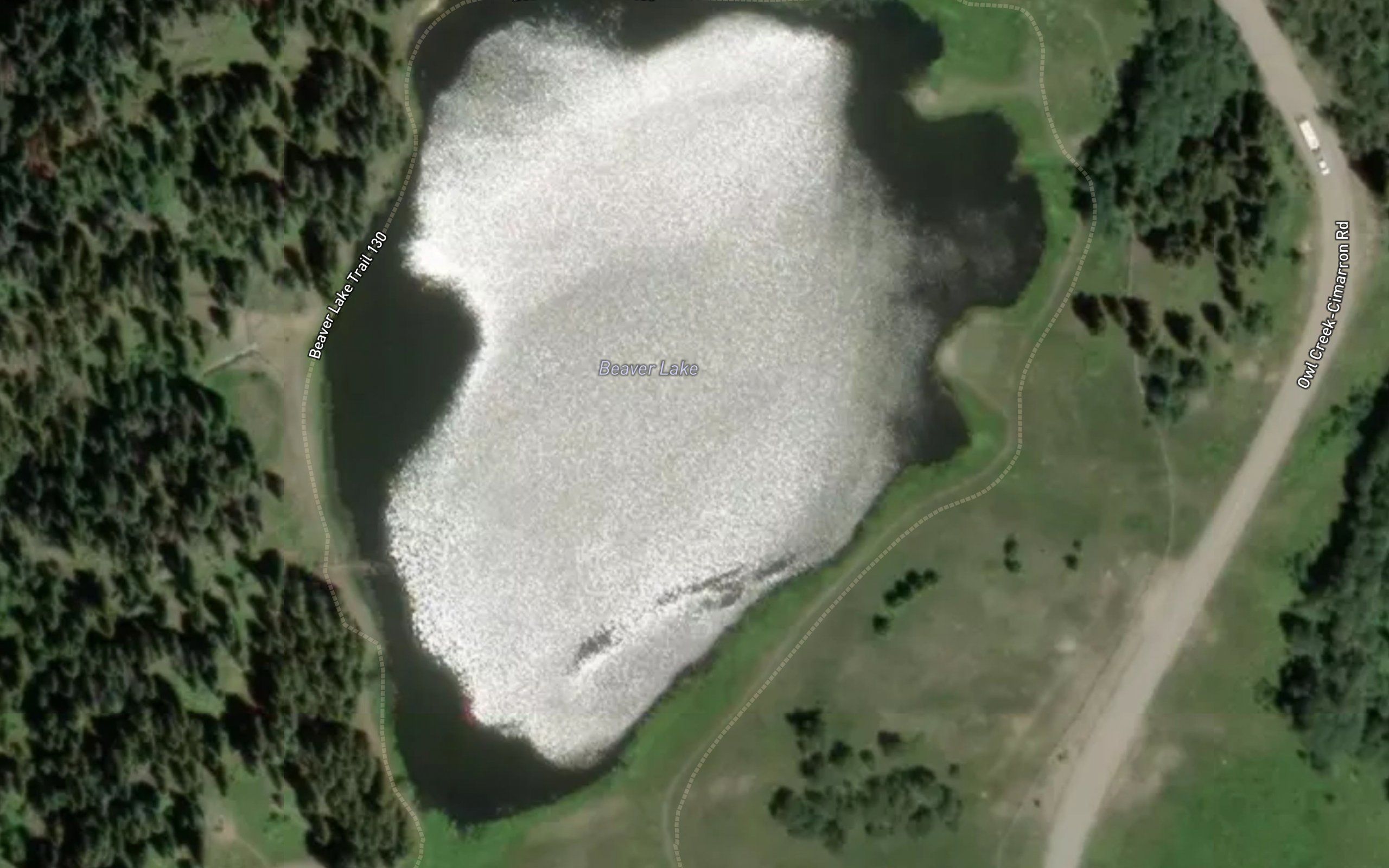 Beaver Lake
