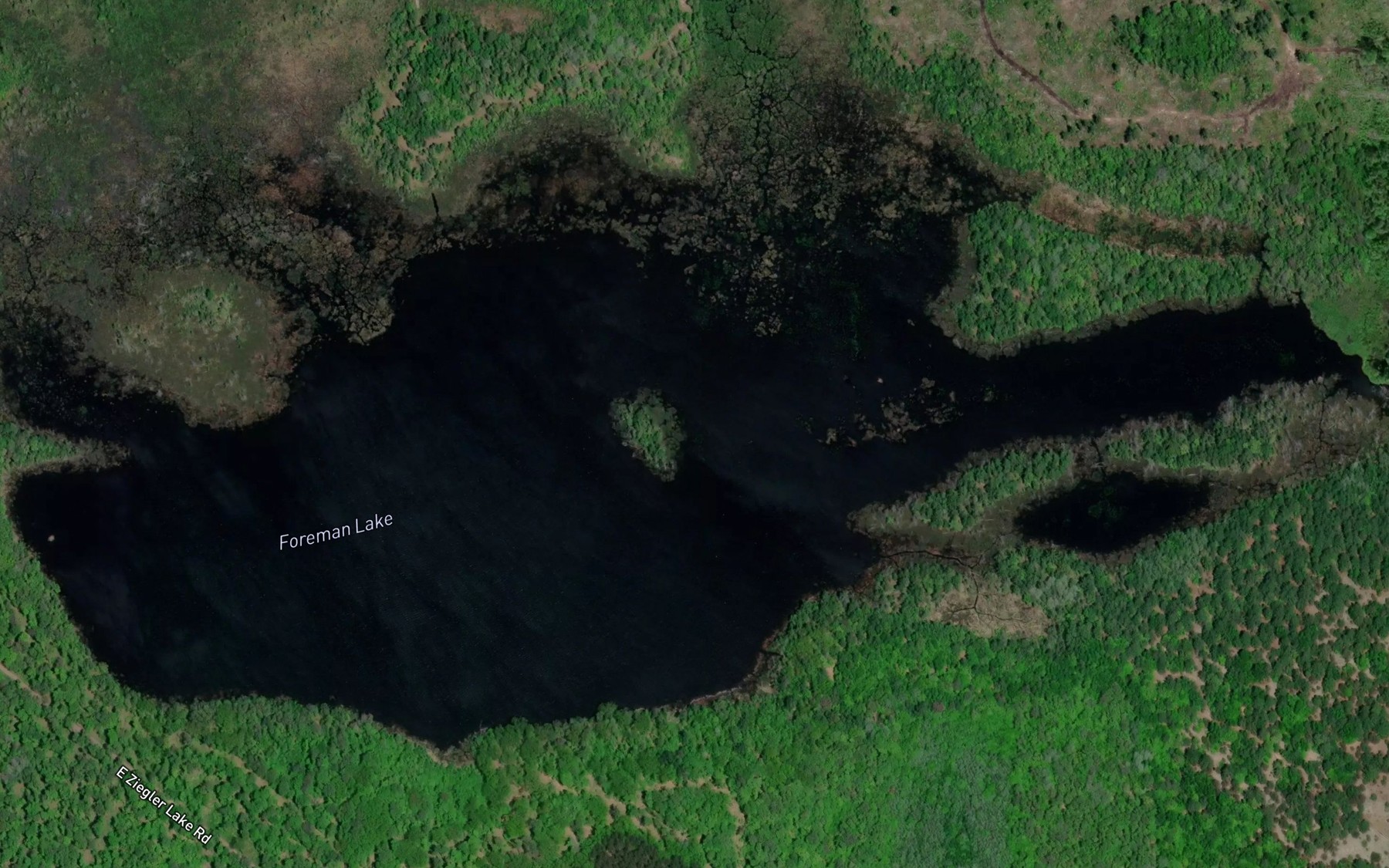 Satellite map of the Foreman Lake
