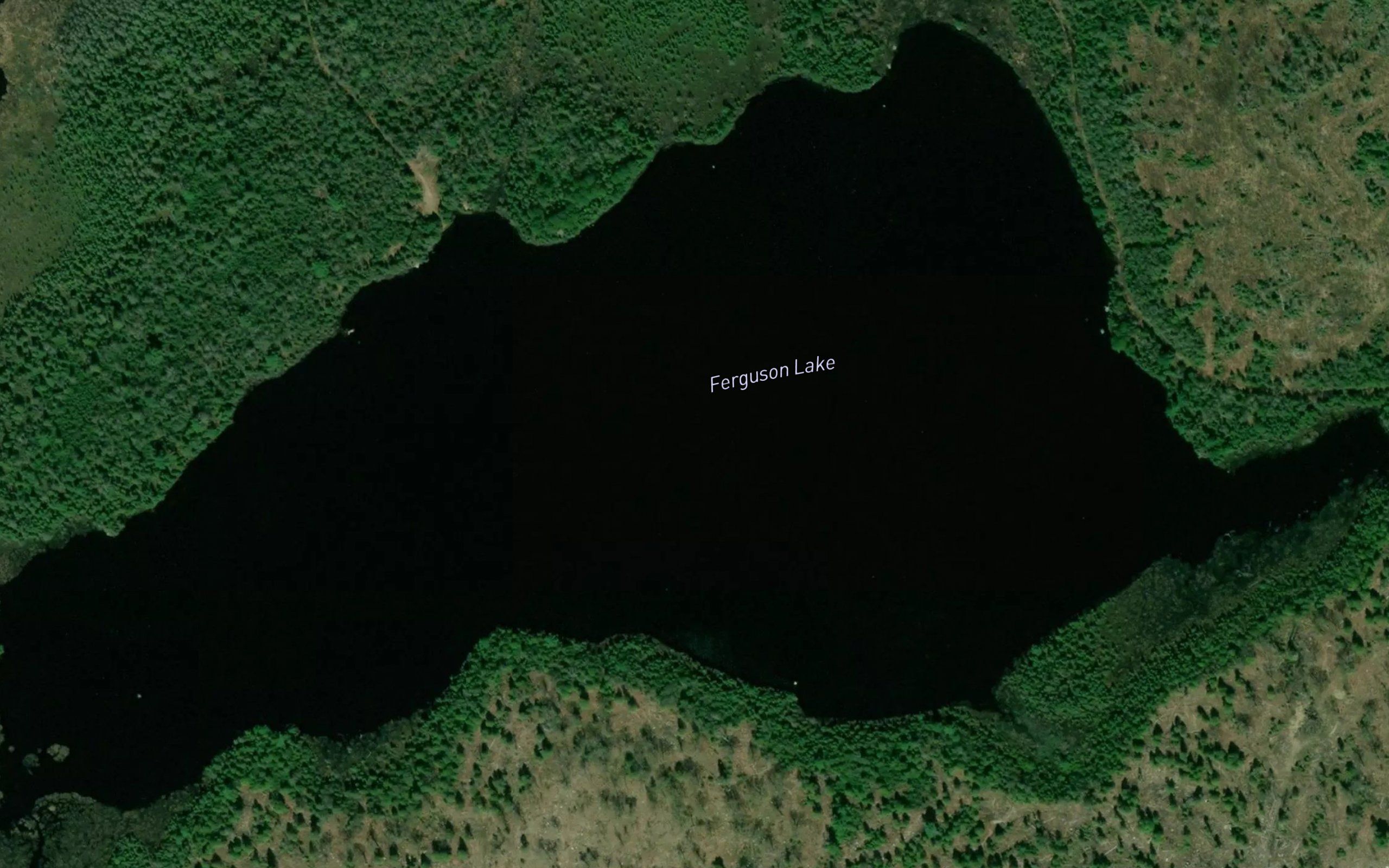 Ferguson Lake
