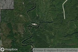 Yellow Jacket Branch