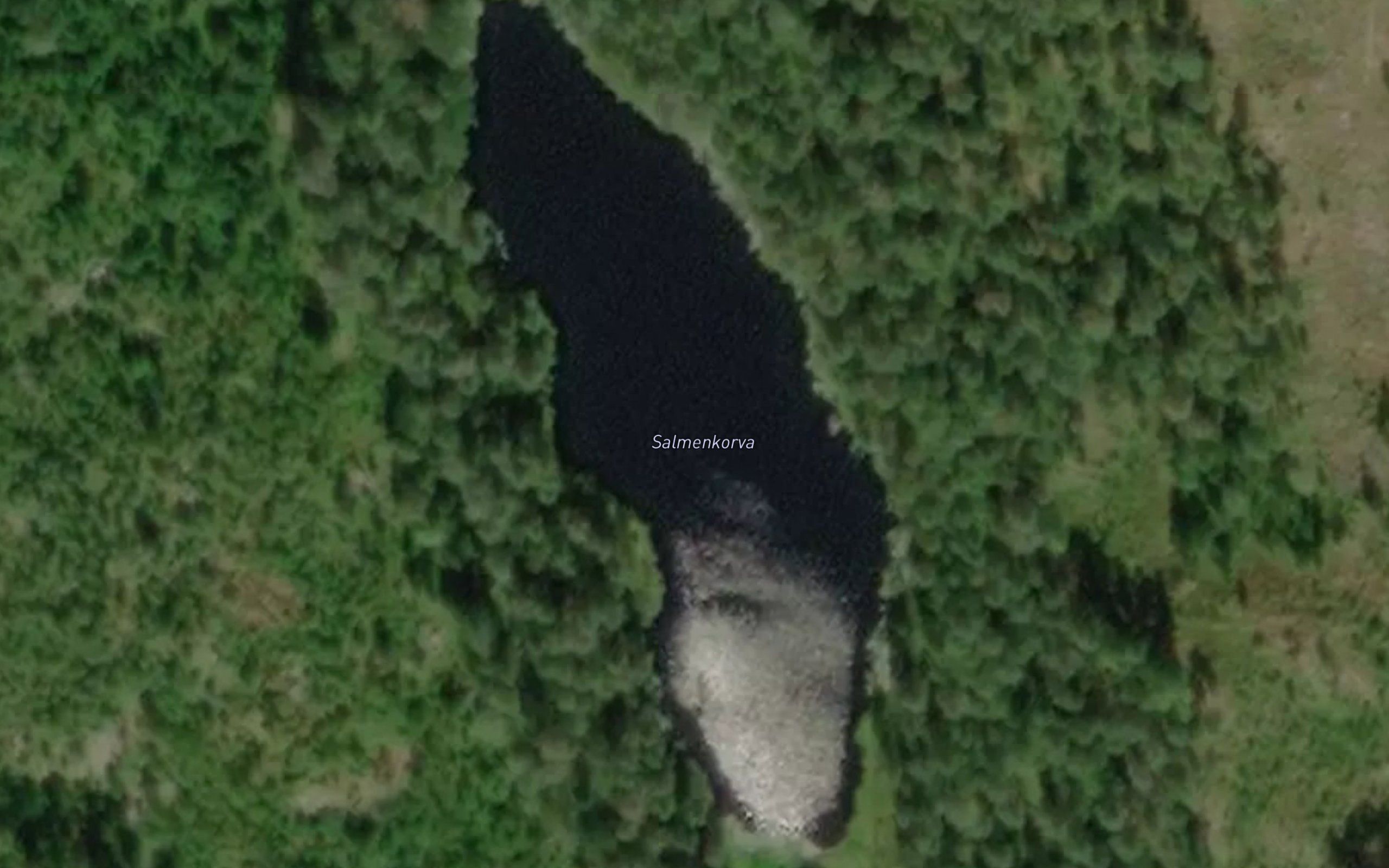 Salmenkorva