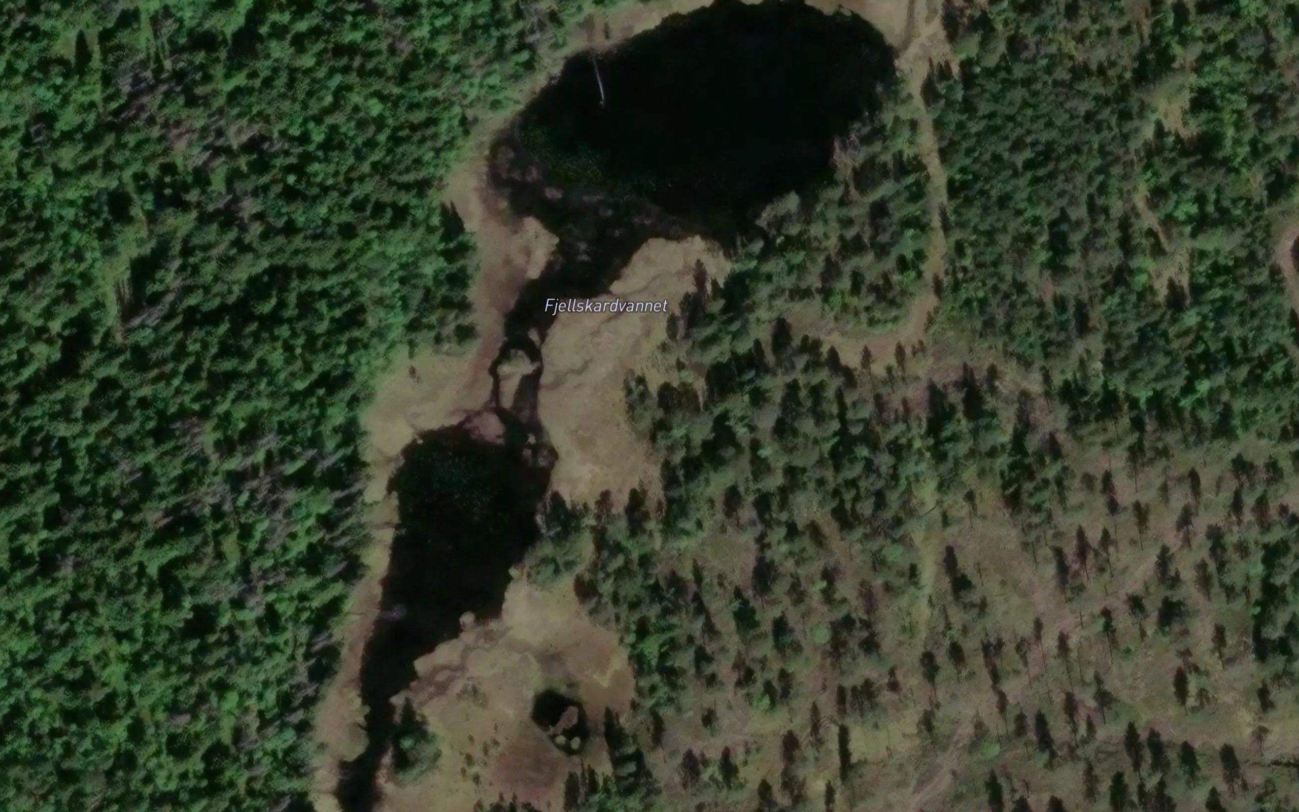 Fjellskarvann