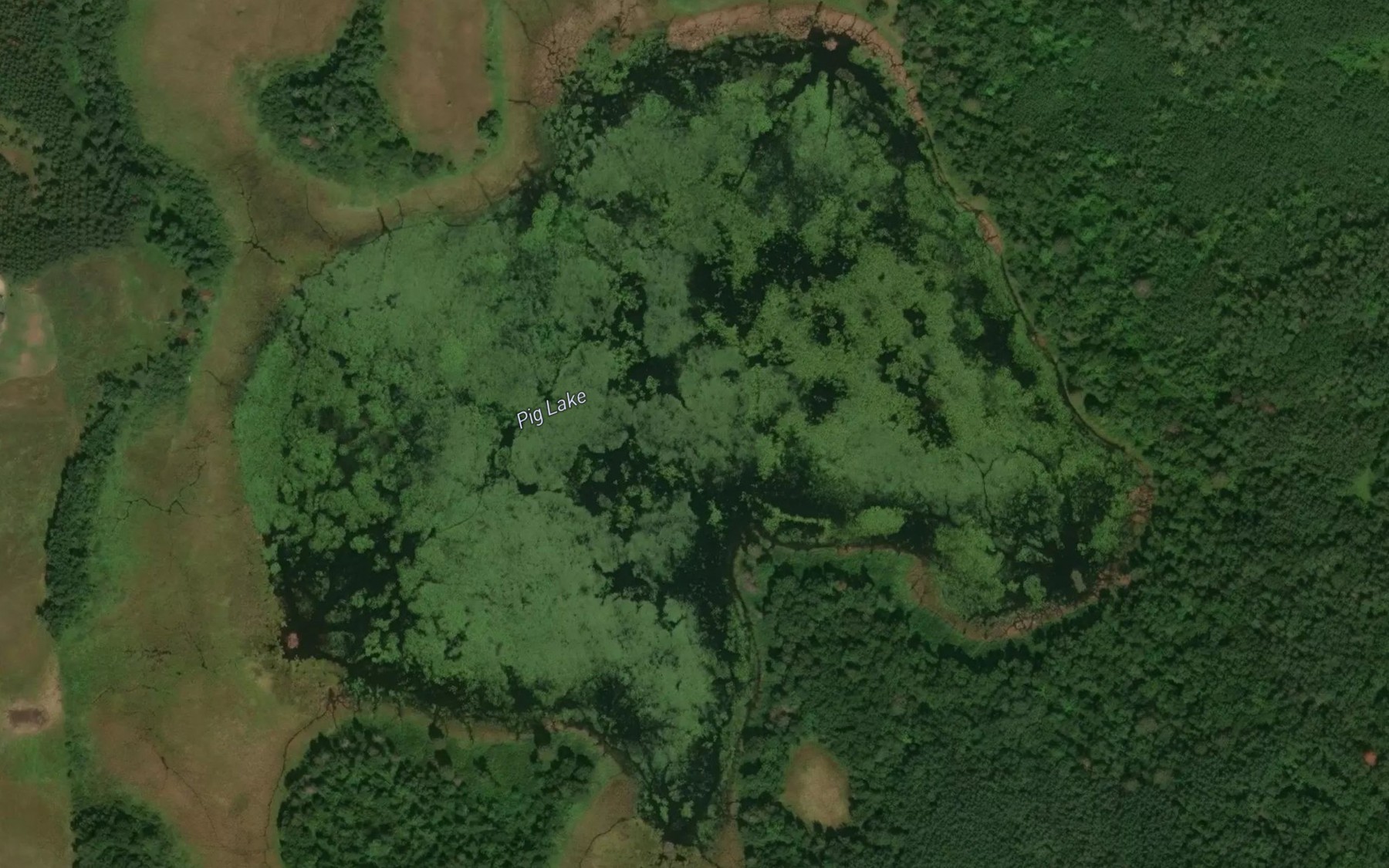 Satellite map of the Pig Lake