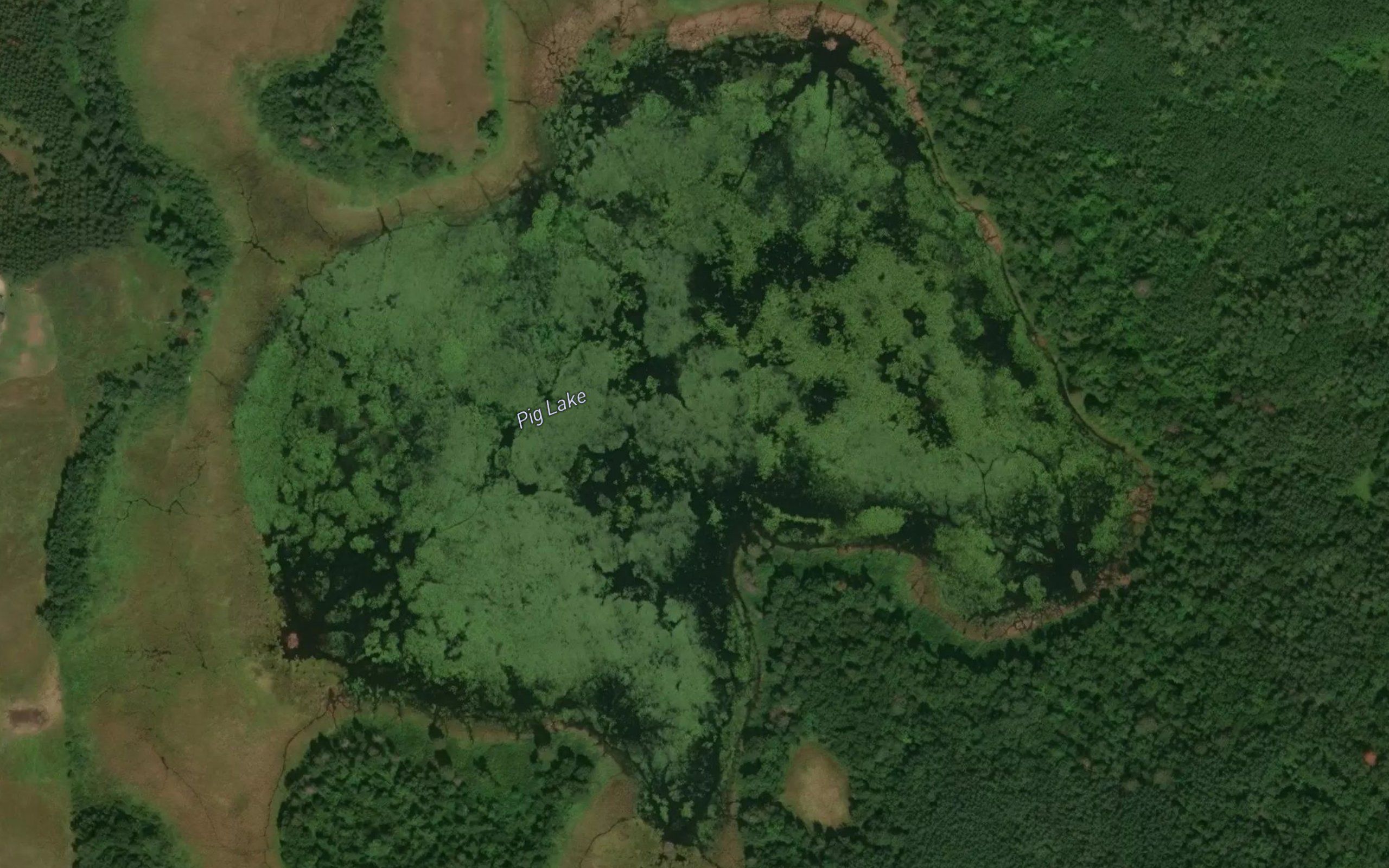 Pig Lake