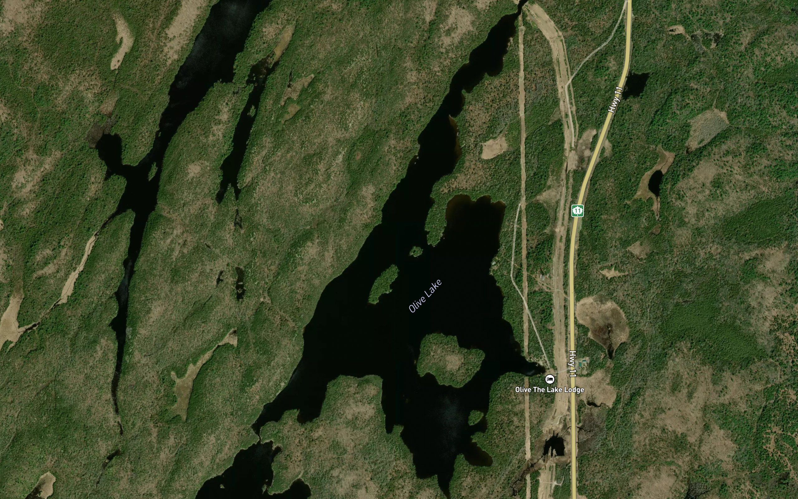 Olive Lake