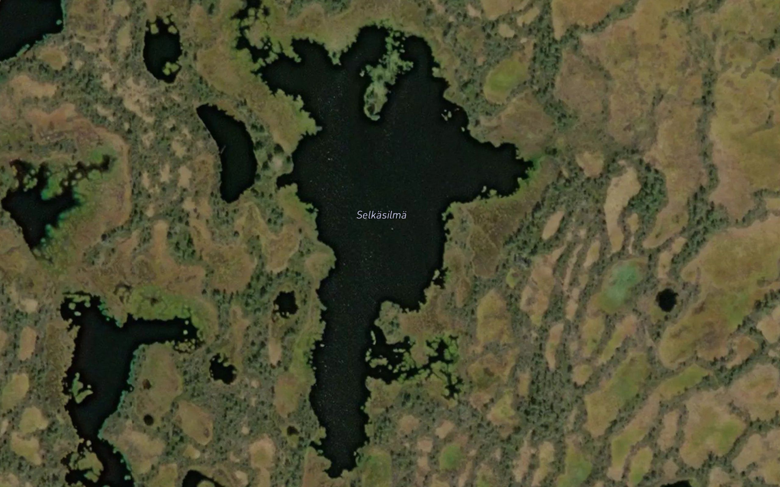 Selkasilma