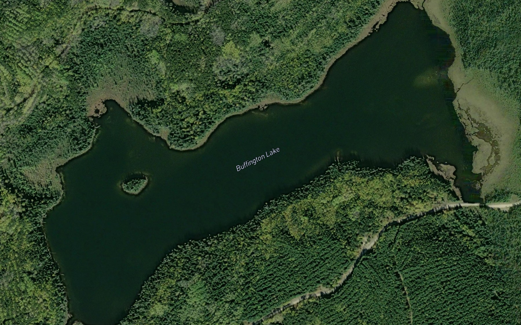 Satellite map of the Buffington Lake