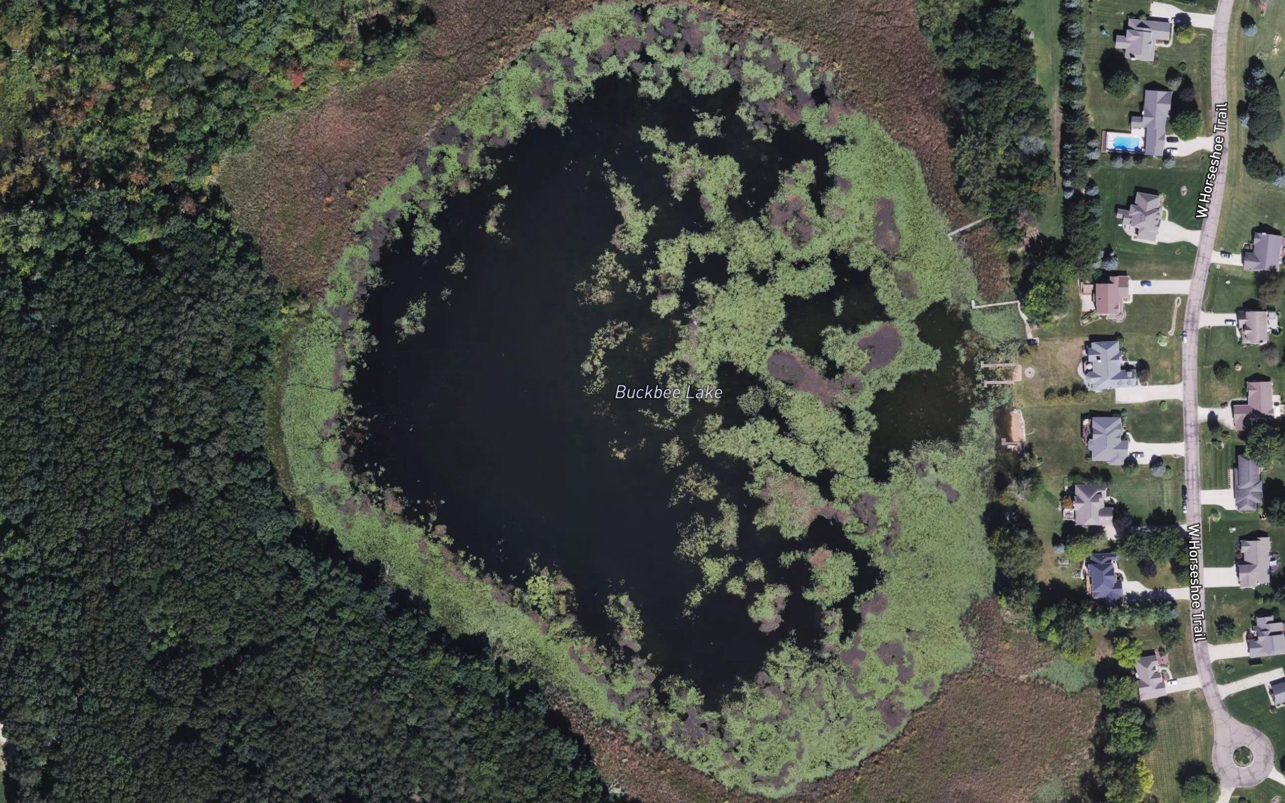 Buckbee Lake