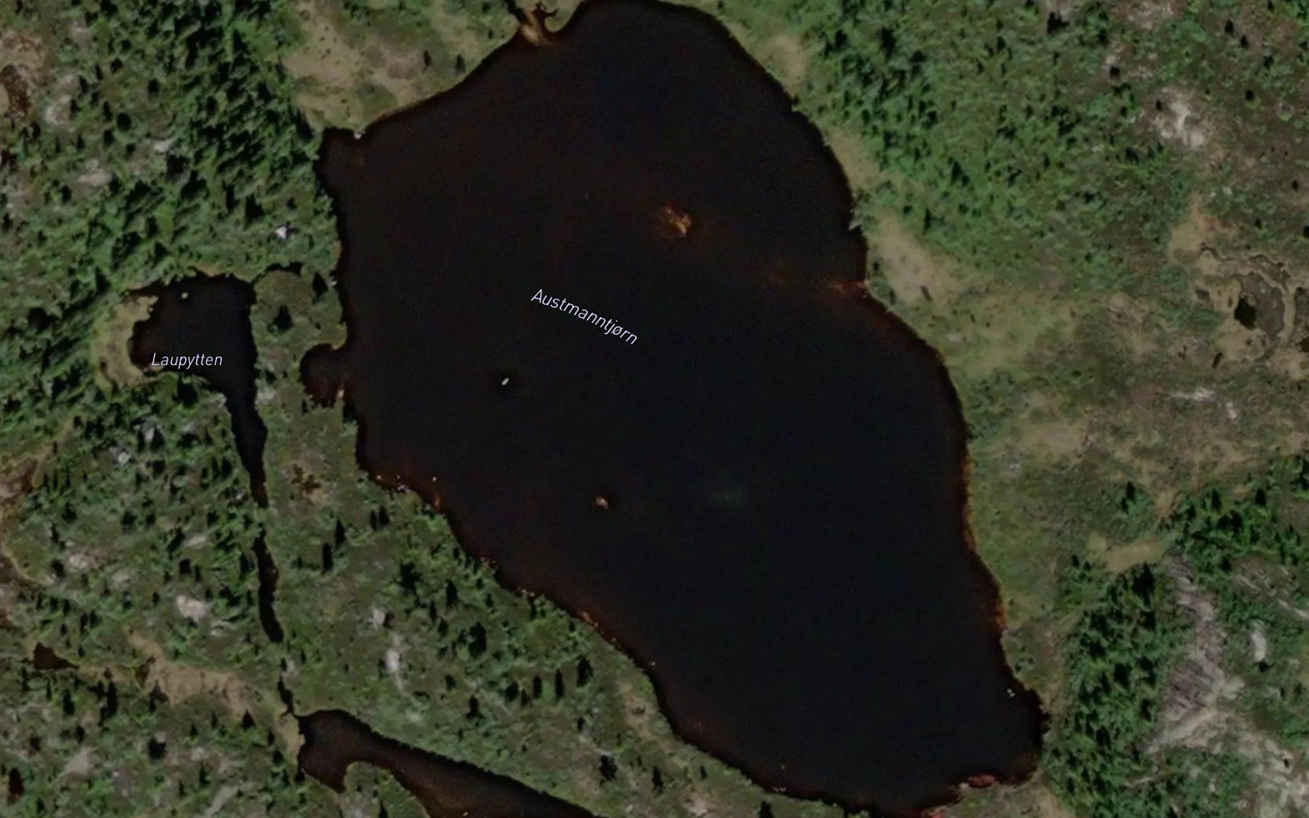 Austmanntjorn