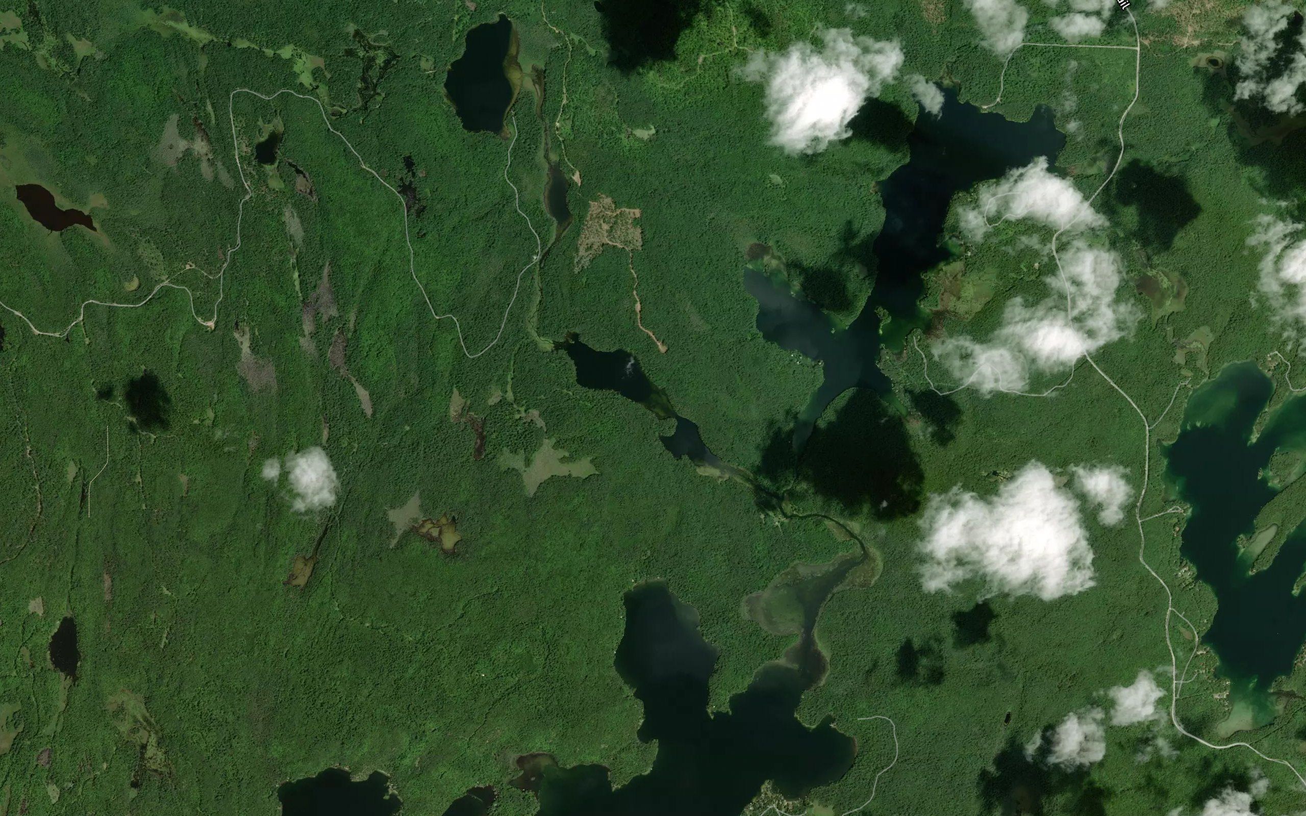 Dark Lake