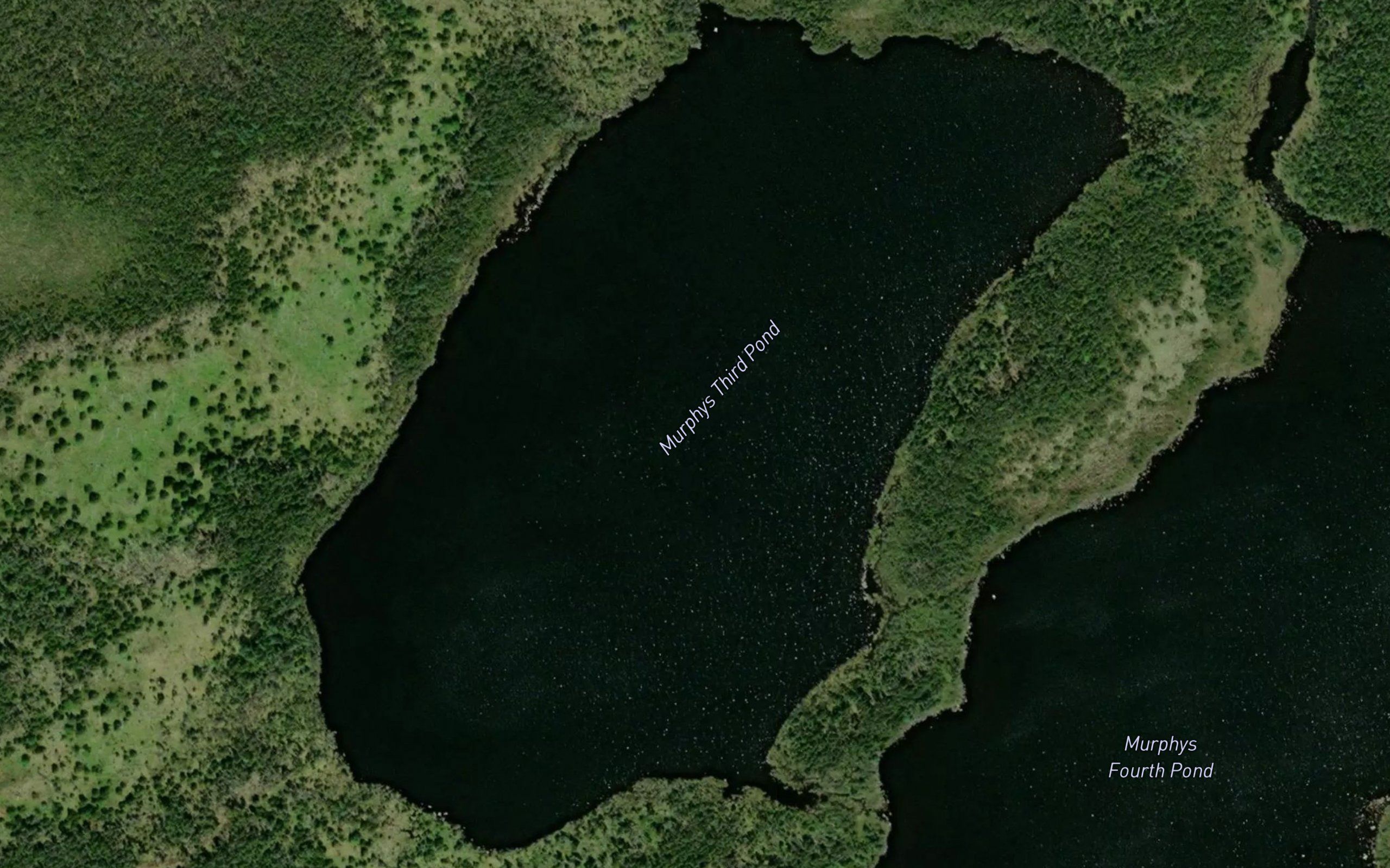 Murphys Third Pond