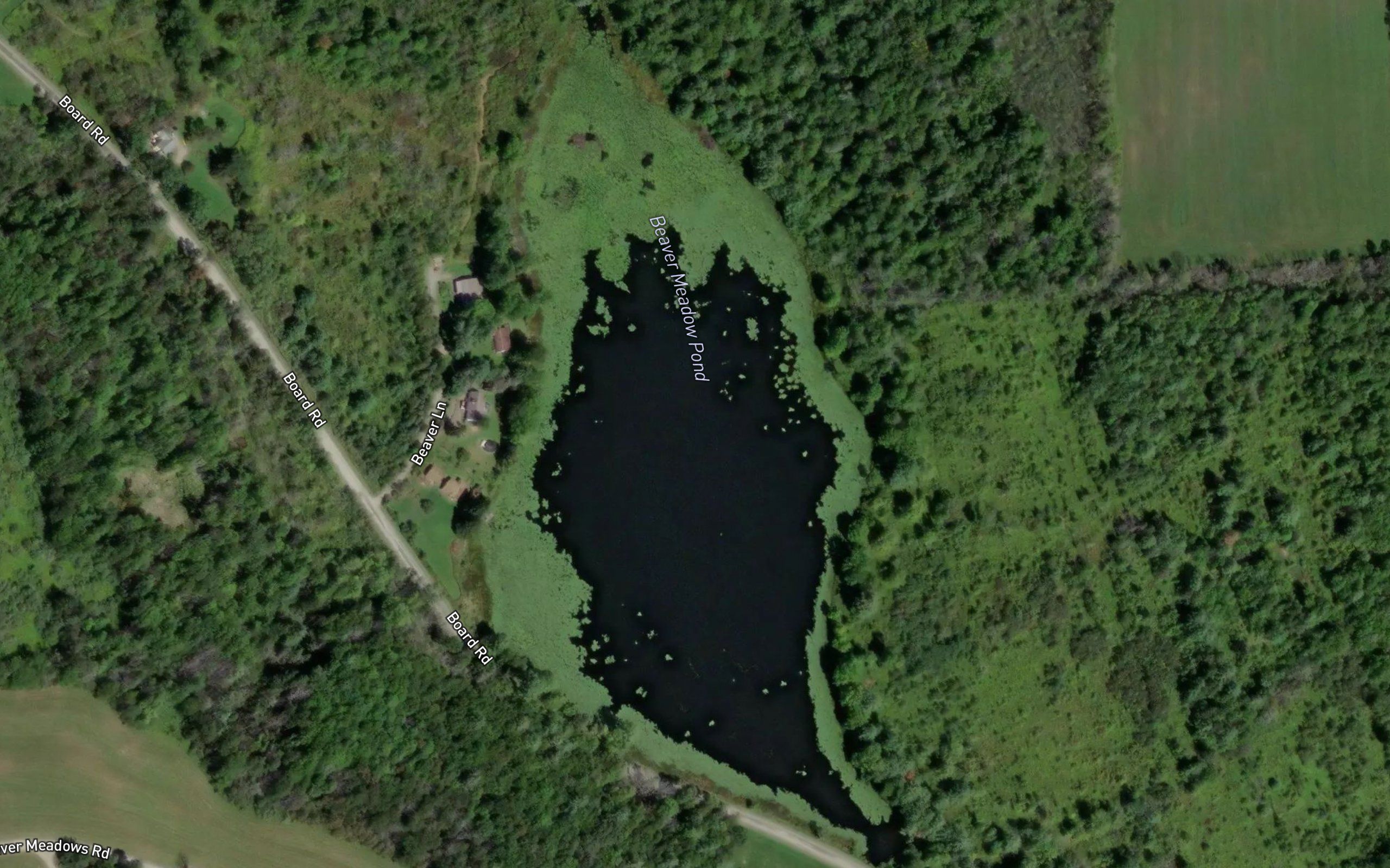 Beaver Meadow Pond