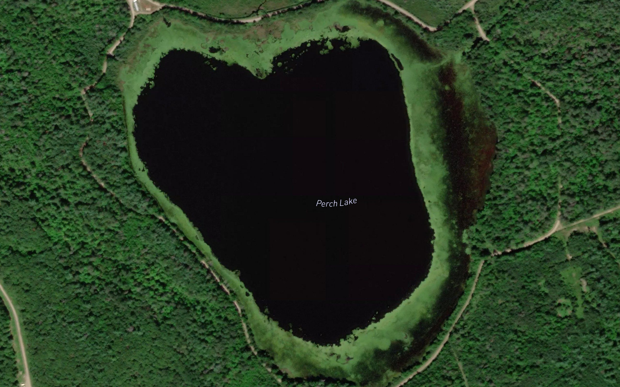 Perch Lake