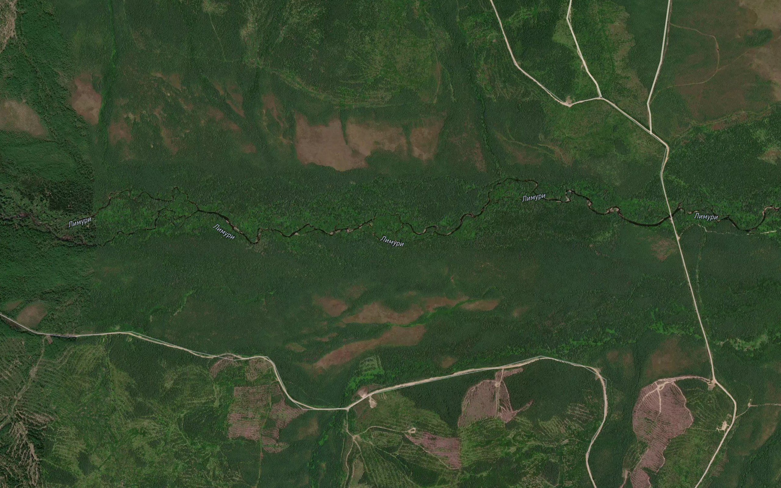 Izvilistyy