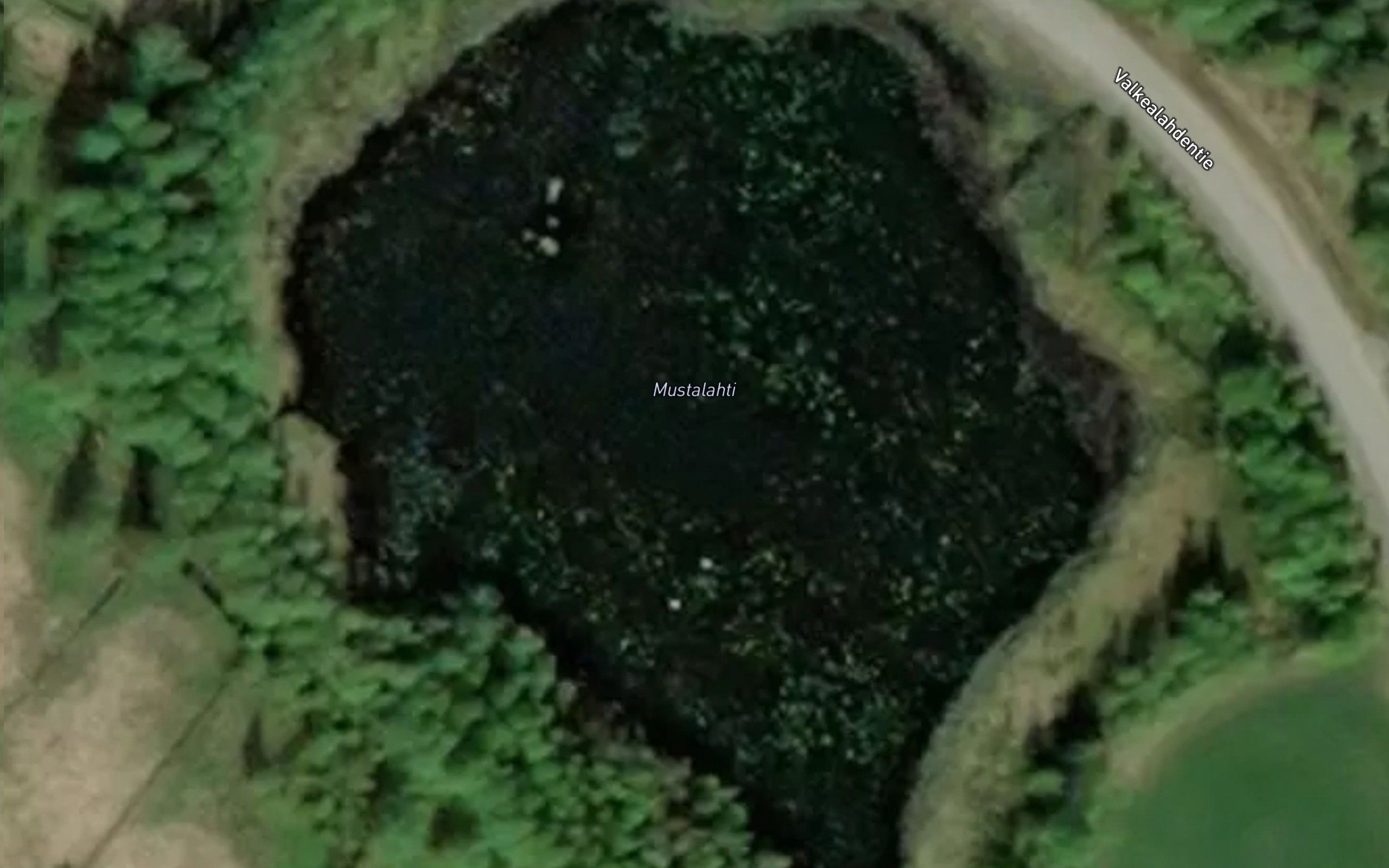 Mustalahti