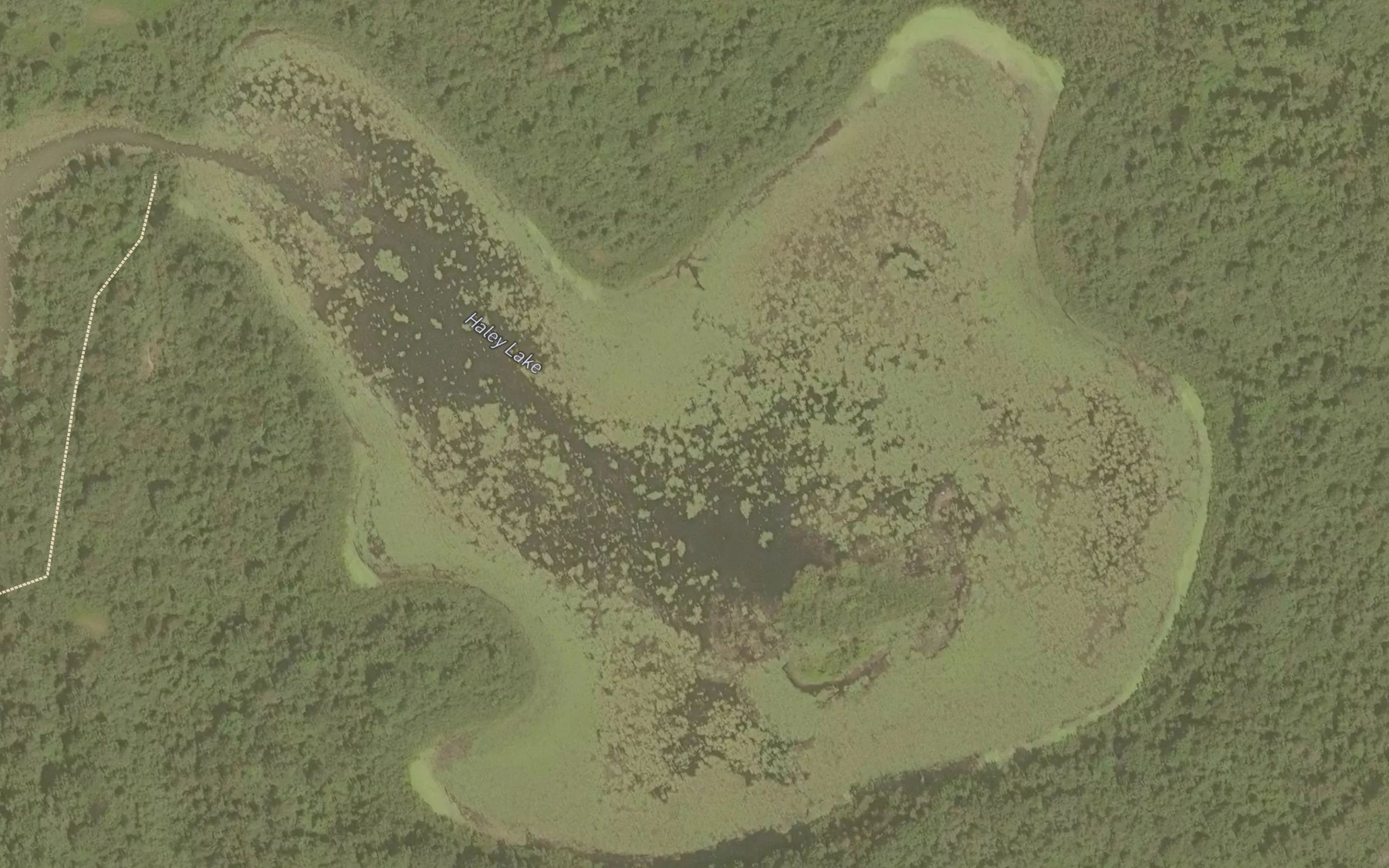 Satellite map of the Haley Lake