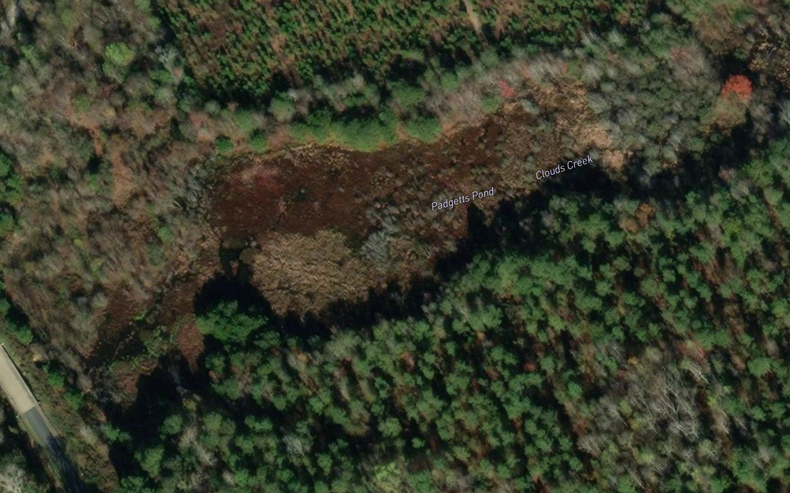 Padgetts Pond