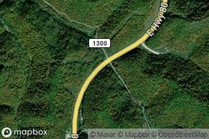 Stewart Fork