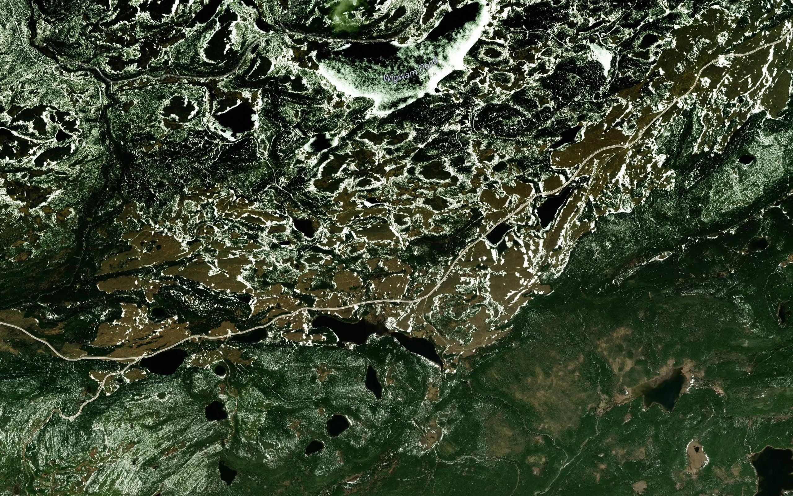 Weasel Ponds