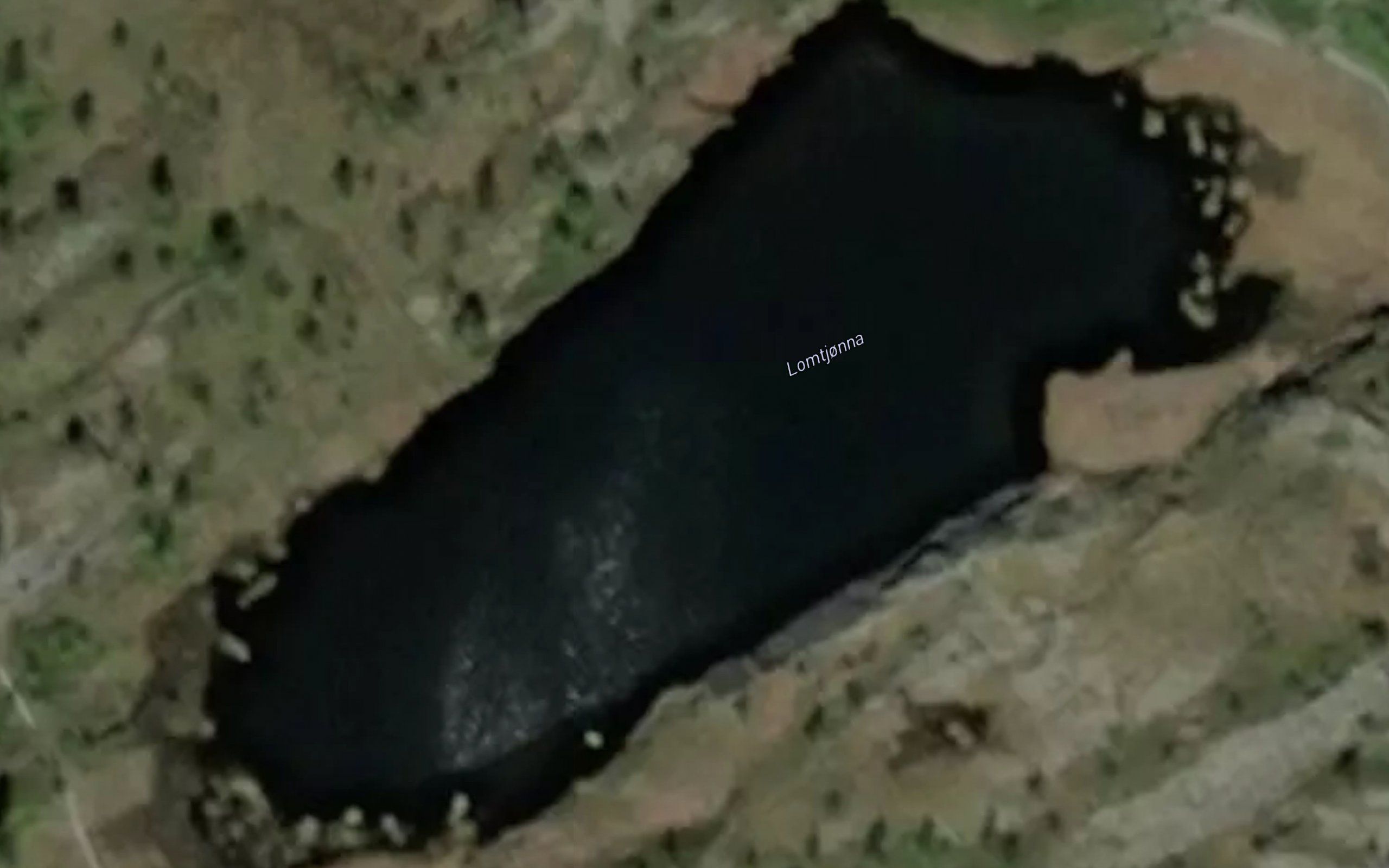 Lomtjonna