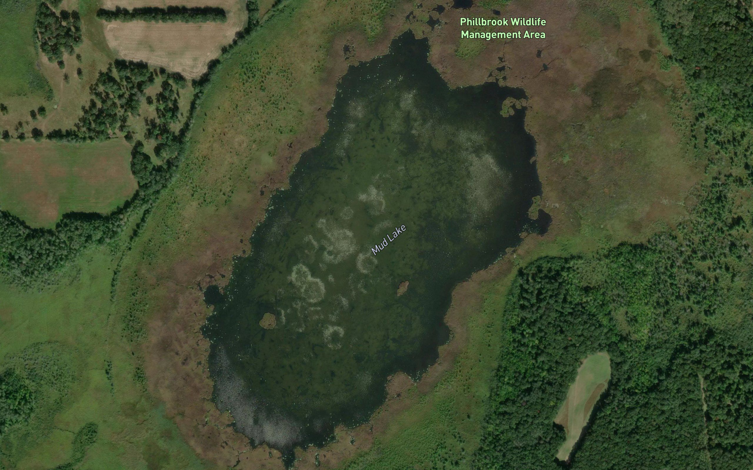 Mud Lake