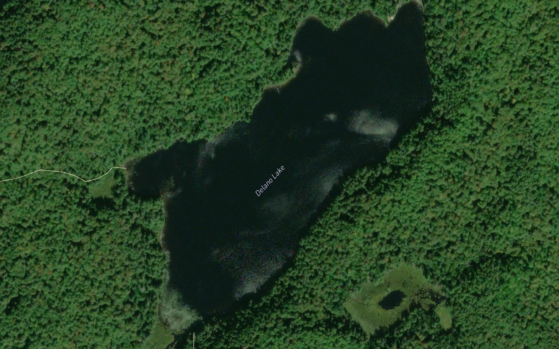 Satellite map of the Delano Lake