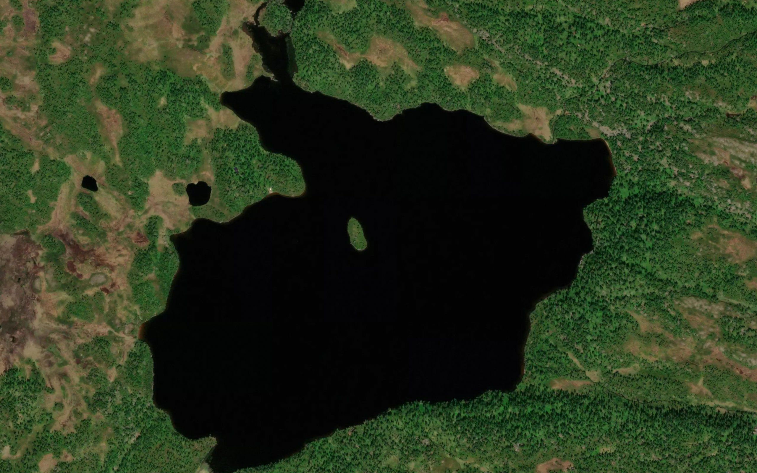 Holmtjorna