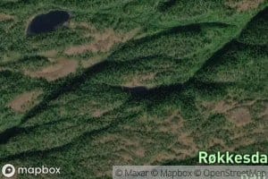 Bokktjonna
