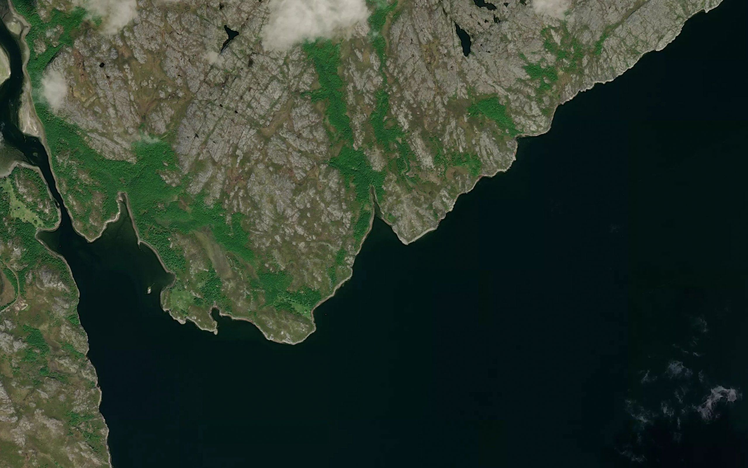 Baertelvakki