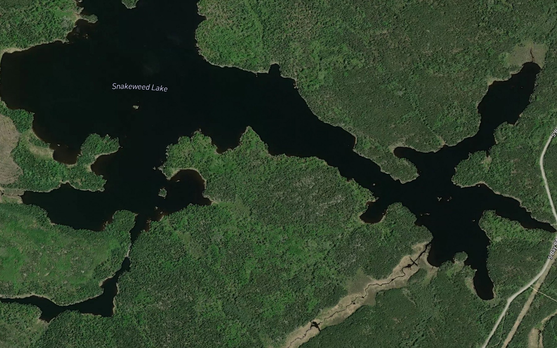 Satellite map of the Snakeweed Lake