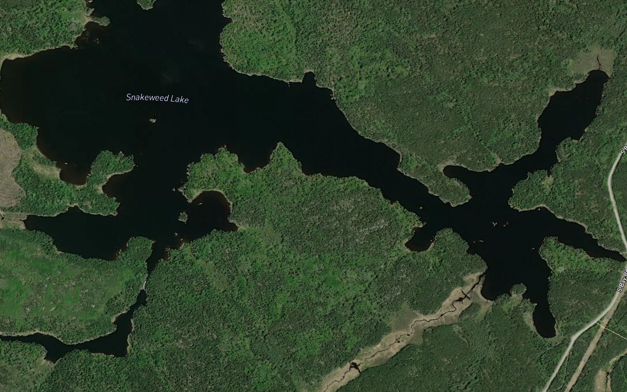 Snakeweed Lake