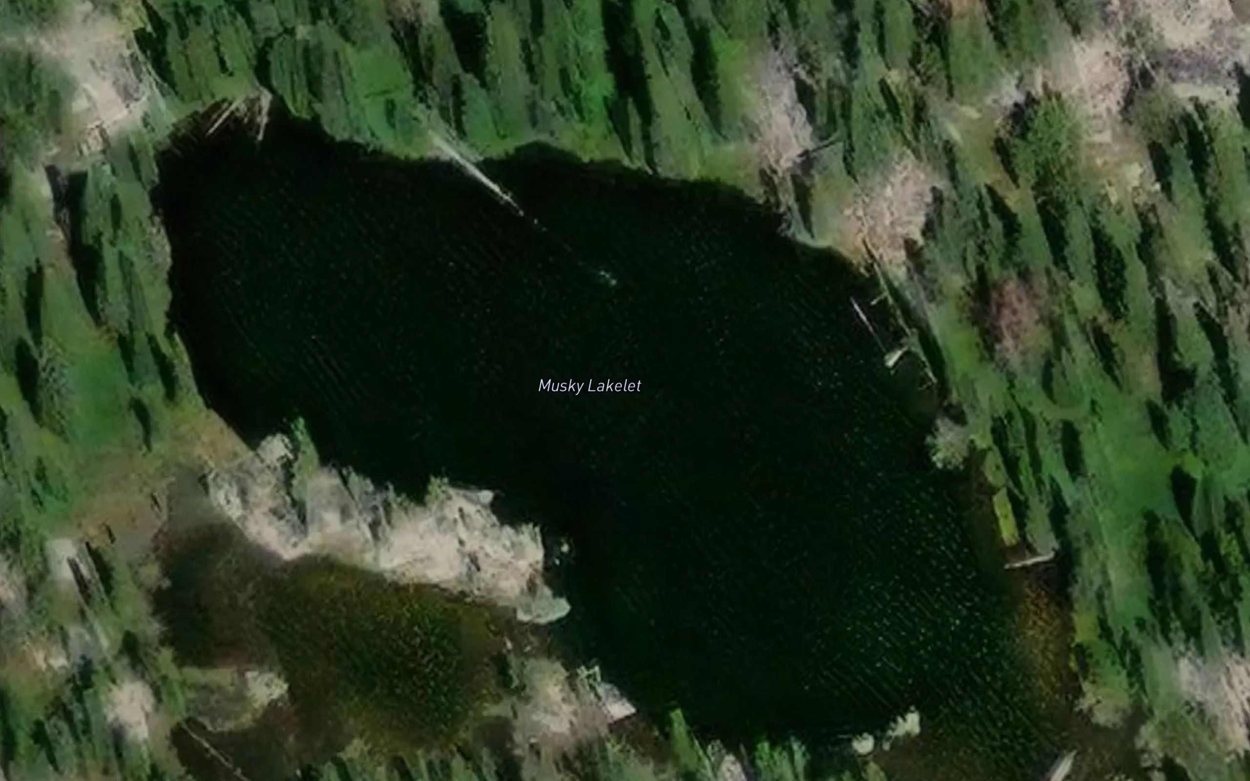 Musky Lakelet