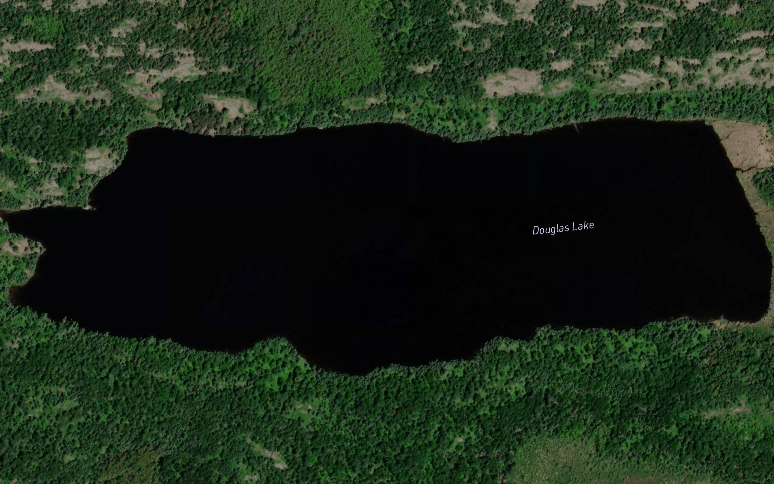 Douglas Lake