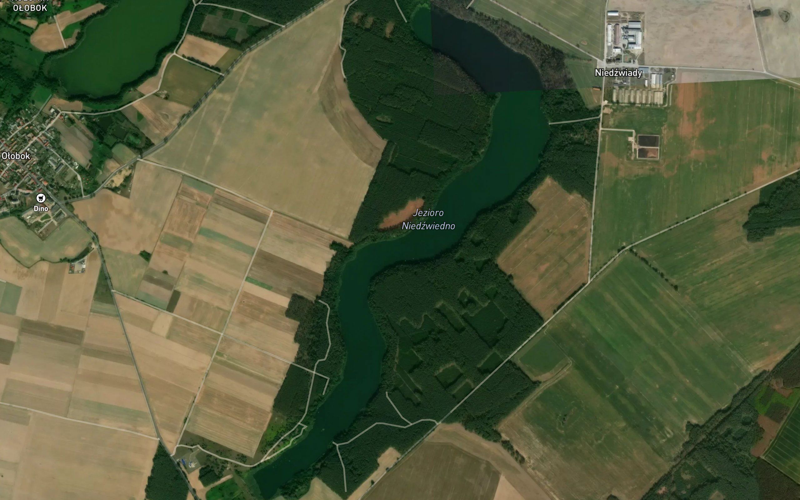 Jezioro Niedzwiedno